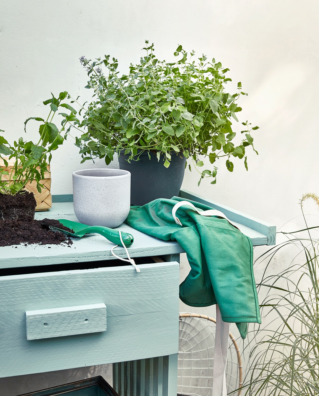 Hoge antracietkleurige cementpot Cilindro € 24,99, klos groen kokostouw € 4,99, klos zwart bindbuis € 4,49, biologisch afbreekbare kweekpotjes € 2,89 per 18 stuks, grijze cilinder plantenpot € 4,99, zak potgrond € 1,99, draadschaal € 24,50 (intratuin.nl). Keramieken gieter € 40,99 (vtwonen.nl). Tuinhandschoenen € 4,95, handschepje € 4,95, handveger € 15,95, zwarte gieter € 7,95, tuinschort € 14,95 (dille-kamille.nl).Schaal € 22,50 (householdhardware.com). Palmblad mandjes € 5,78 per set (sostrenegrene.com). Witte kist € 12,50 (vandijkenko.nl). Meubeltransporter € 9,99 (gamma.nl). Tuinspecial 03 | productie Corrien Flohil | uitvoering Johan Snoodijk | styling Moniek Visser | fotografie Peggy Janssen\n\n
