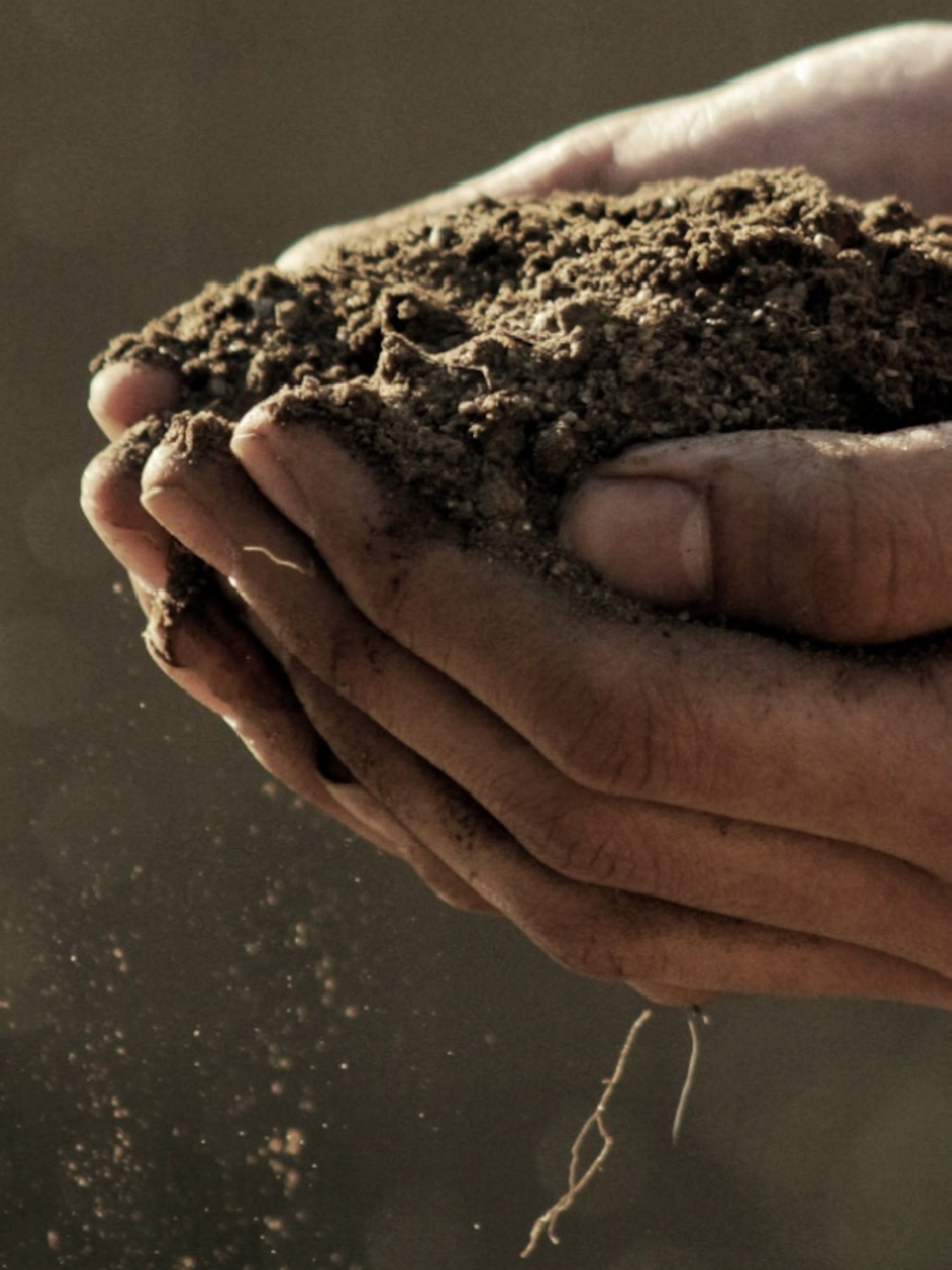 zelf compost maken de voordelen en beste aanpak van composteren