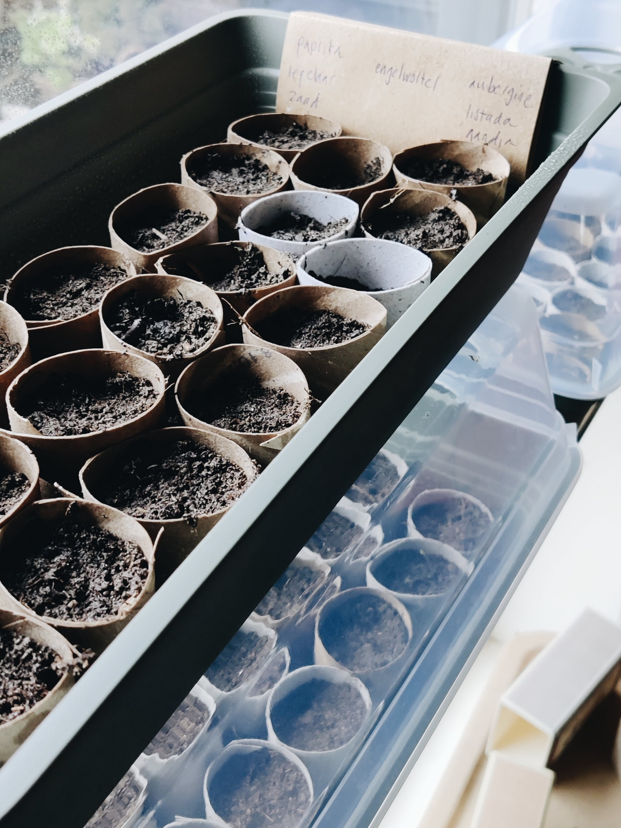 zo kun je de moestuin in hartje winter al voorbereiden