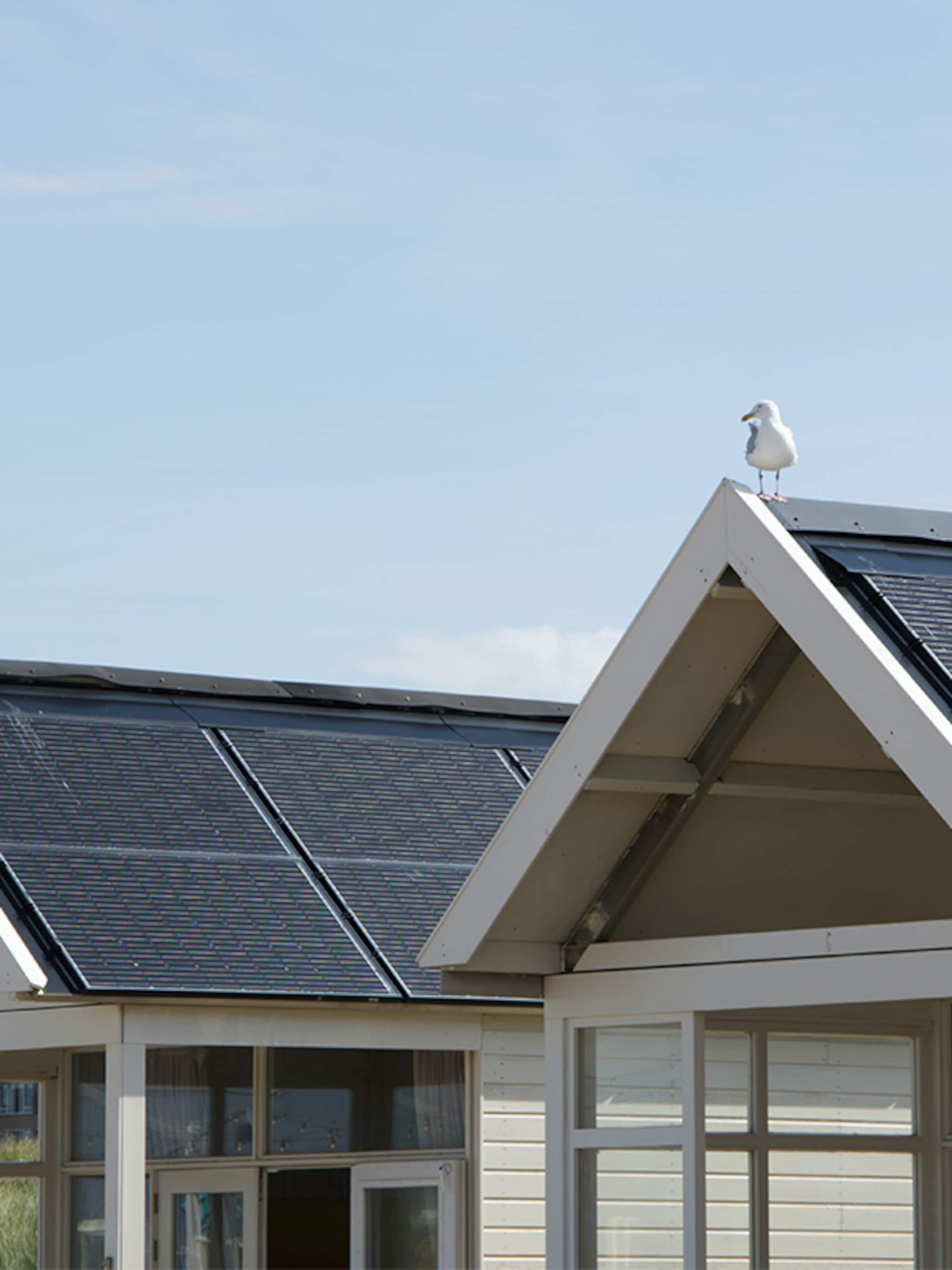 optimizer zonnepanelen alle ins en outs