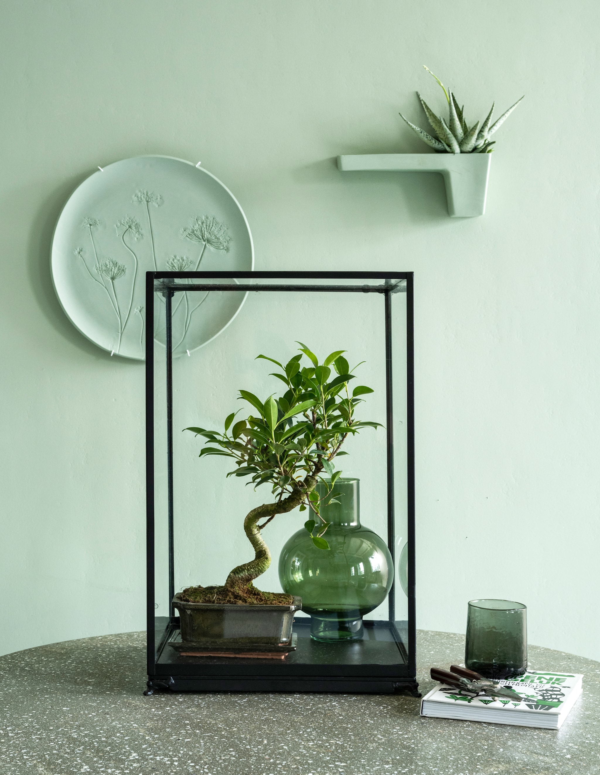 vtwonen 03 2023, groen | Pot met Bonsai plant € 29,95, vetplant € 6,95, glazen vitrinekastje € 295,- (bydennis.nl).Tafel, 100x75 cm (Øxh) € 1799,- (lanena-home.com). Vaas € 25,95, glas € 12,95 (urbannatureculture.com). Porseleinen muurbord XL € 85,-, porseleinen wandplank € 49,- (harmenelke.nl). Boek Het groene geluk € 24,99 (dewereldvansnor.nl). Muurverf in nr. 58 van Lab Paint, 1 liter € 48,- (vestingh.nl). Tuinschaar onbekend. vtwonen 2023-03 | styling Marianne Luning | fotografie Stan Koolen