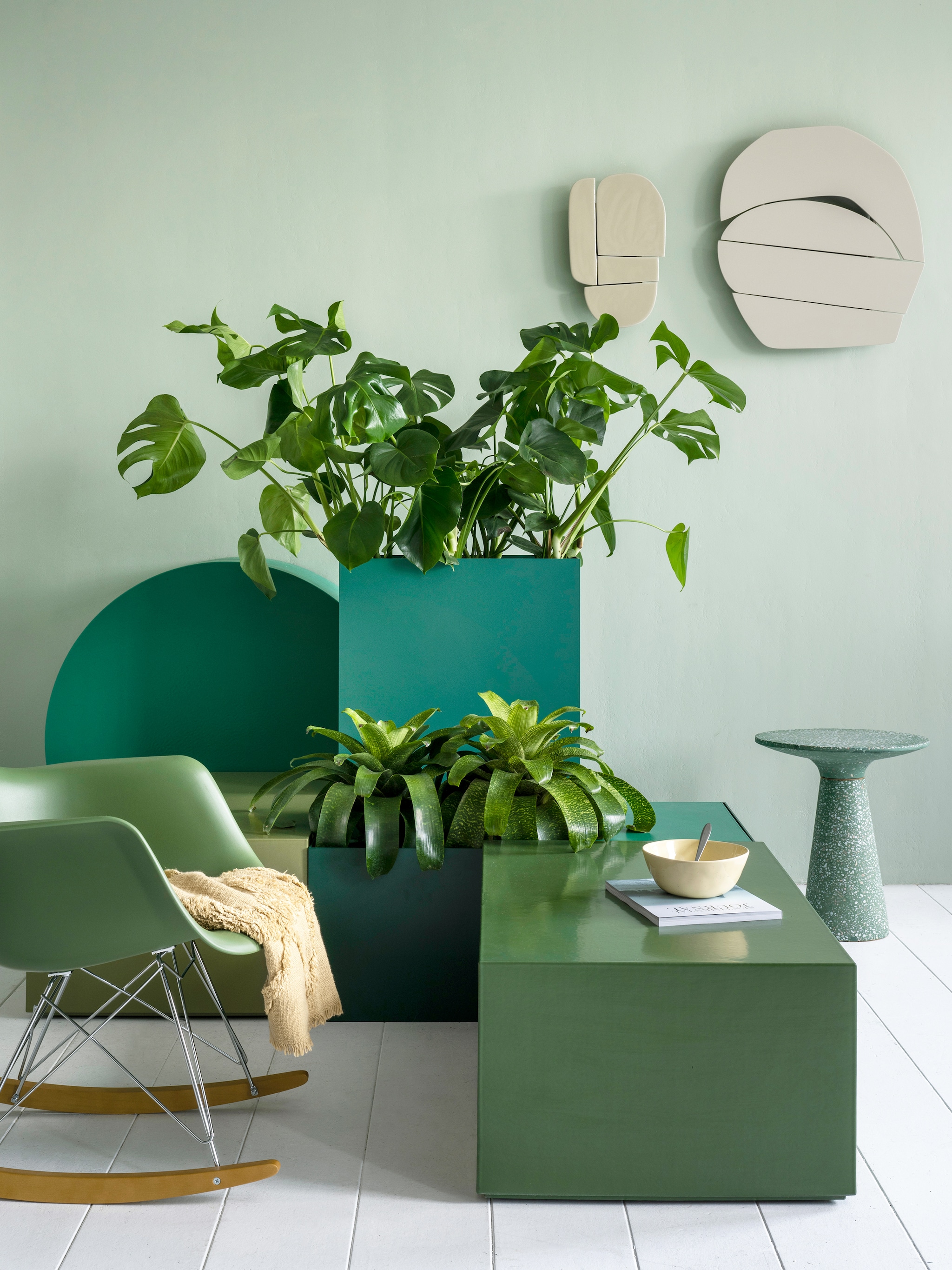 slap hangende monstera 5 tips om m weer energie te geven