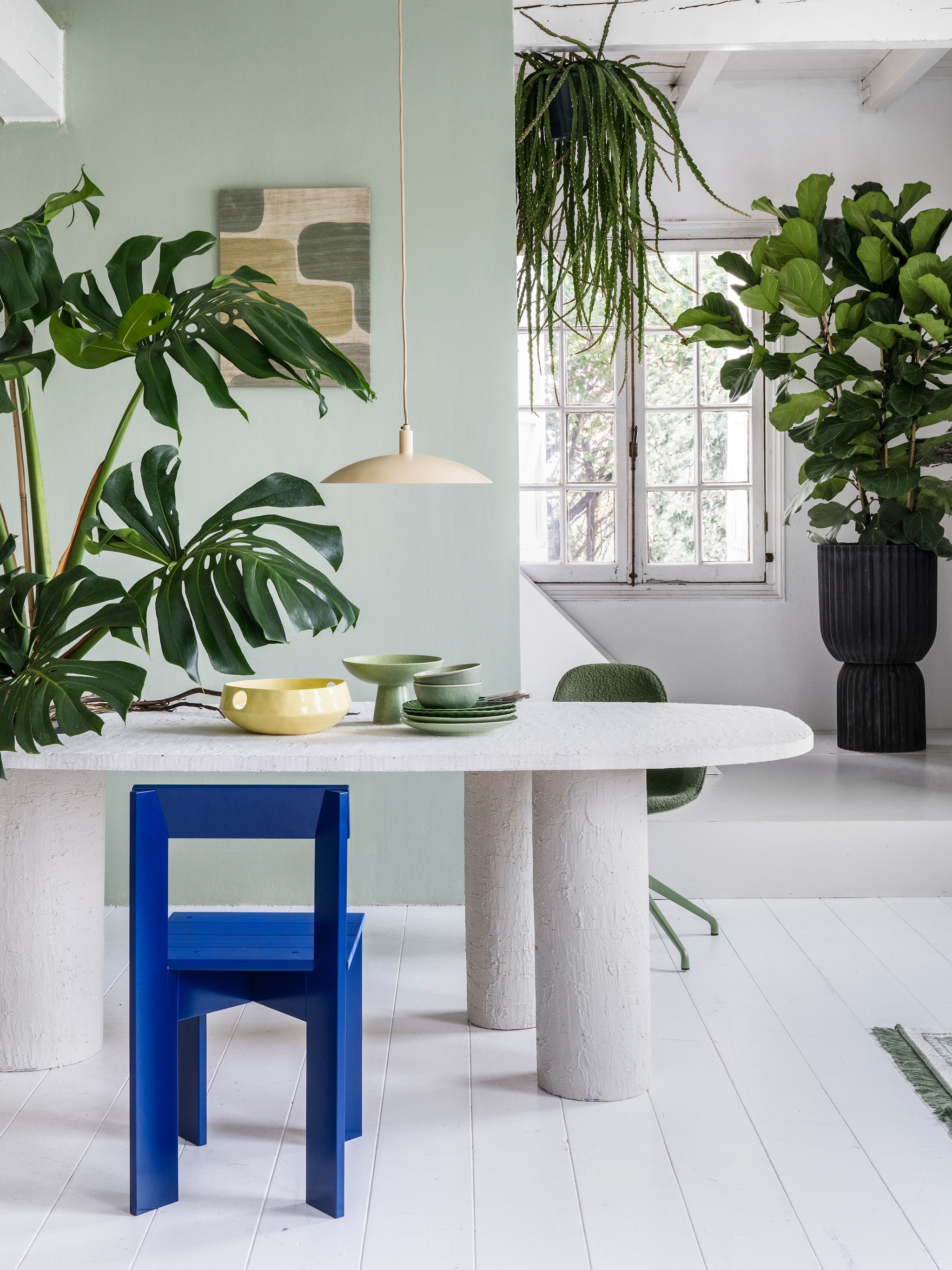 5x de mooiste grote kamerplanten
