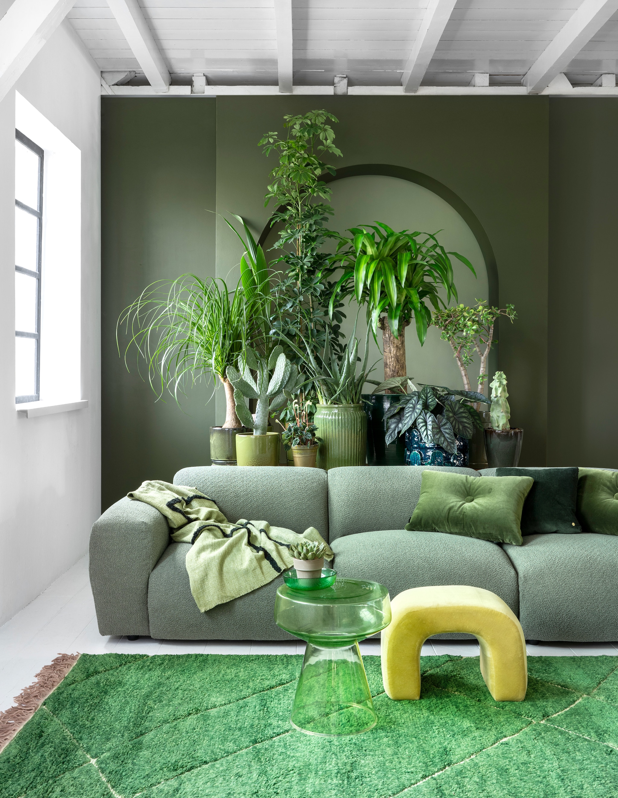 vtwonen 03 2023, groen | Plant en potten v.l.n.r.: plant Beaucarnea € 59,95, pot € 34,95, kokospalm € 14,95, pot € 24,95, cactus € 75,-, pot € 39,95, plant Peperomia € 6,95 , pot € 9,95, plant Schefflera € 100,-, pot € 39,95, plant Aloë Vera € 59,95, pot € 39,95, plant Dracena € 150,- (bydennis.nl), pot € 201,- (loods5.nl), plant Alocasia € 50,- (bydennis.nl), pot € 159,- (loods5.nl), plant Crassula € 75,-, pot € 34,95, cactusplant € 69,95, pot € 39,95 (bydennis.nl). Op bijzettafel: plant € 6,95, pot € 5,95 (bydennis.nl). Donkergroene muurverf nr.76, lichtgroene muurverf in de boog nr. 41 van Lab Paint, per liter € 48,- (vestingh.nl). Bank Cosy, 295x97x70 cm (bxdxh) € 3238,-, ribfluwelen kussen € 79,- (loods5.nl). Vloerkleed van HKliving, 280x180 cm € 1295,-, glazen bijzettafel van HKliving € 229,-, plaid van HKliving € 74,95, glazen kom van HKliving € 5,99, velours kussen van Hay € 95,- (vtwonen.nl). Gele fluwelen kruk € 249,- (urbannatureculture.com). vtwonen 03 2023 | styling Marianne Luning | fotografie Stan Koolen