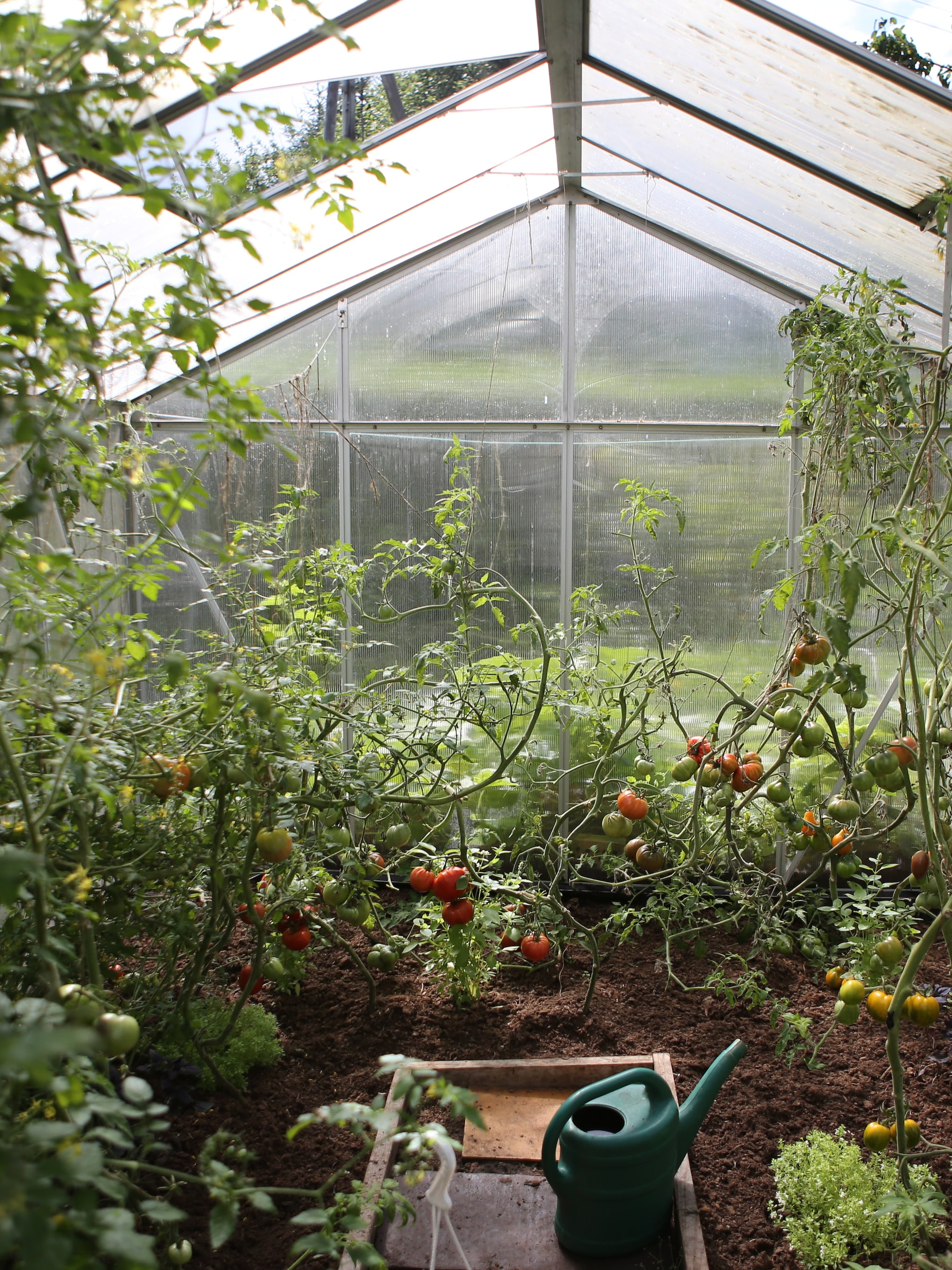 leuk uitje voor natuurliefhebbers de moestuinbeurs