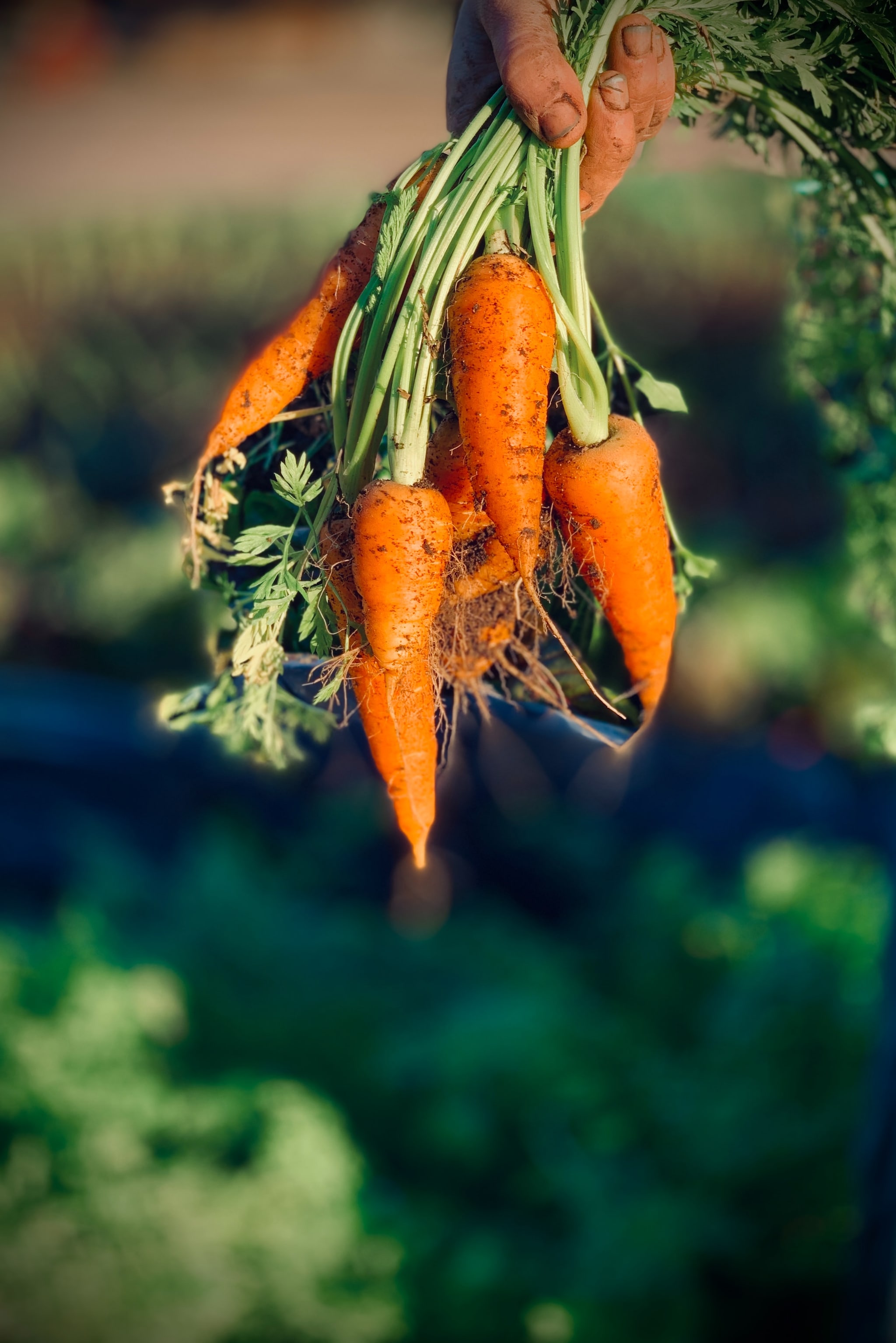 Bron: unsplash.com Stockbeeld