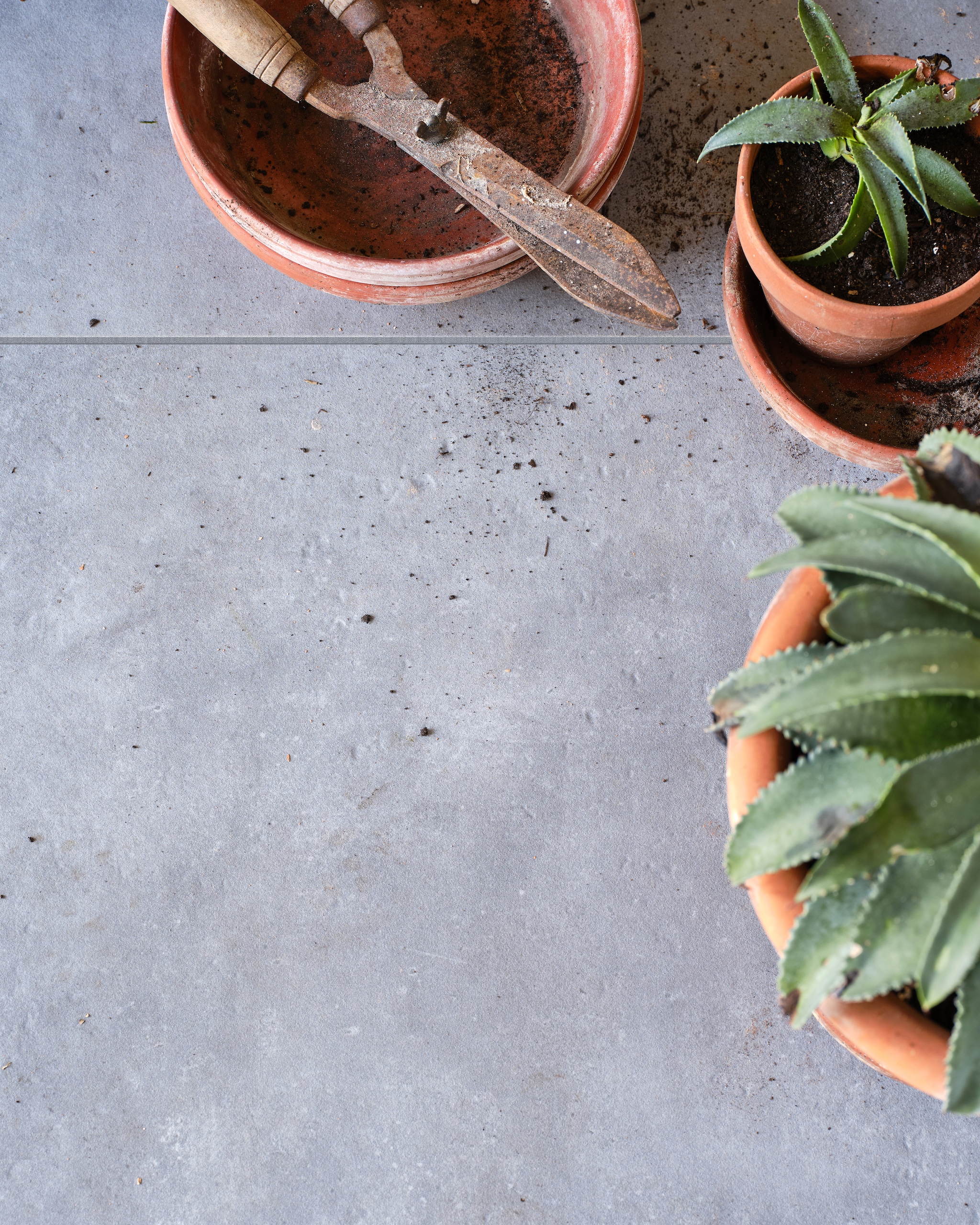 Tuintegel Solostone Mold Basalt van vtwonen, 70x70 cm per m² € 79,95 (ook in de kleuren Taupe en Grit) vtwonen 03-2023 | productie Tanja Saarberg | styling Marlies Does | fotografie Bart Brussee