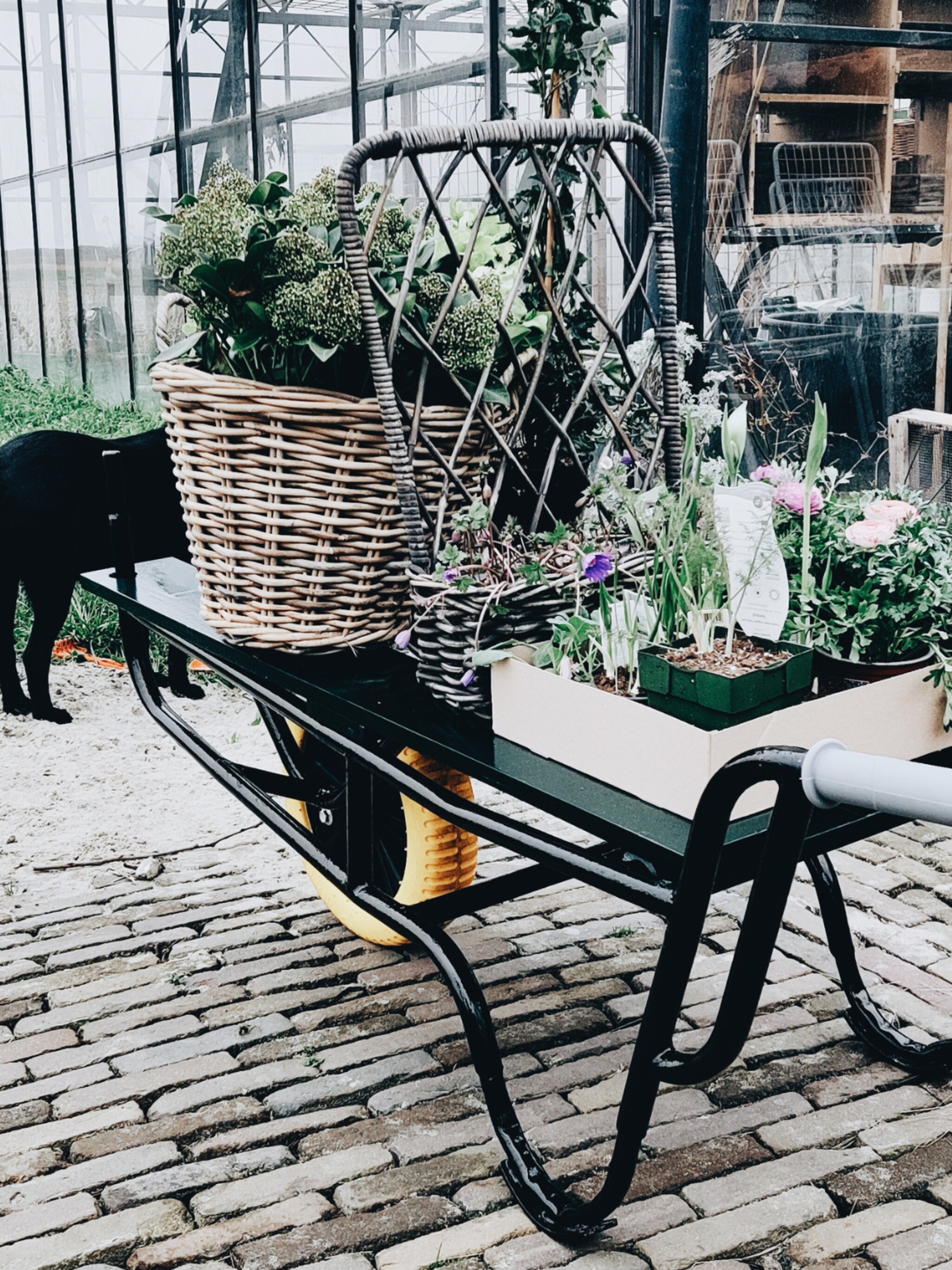vivian en mark geven de tuin een voorjaarsschoonmaak de hele dag buiten ik moet er nu niet aan denken