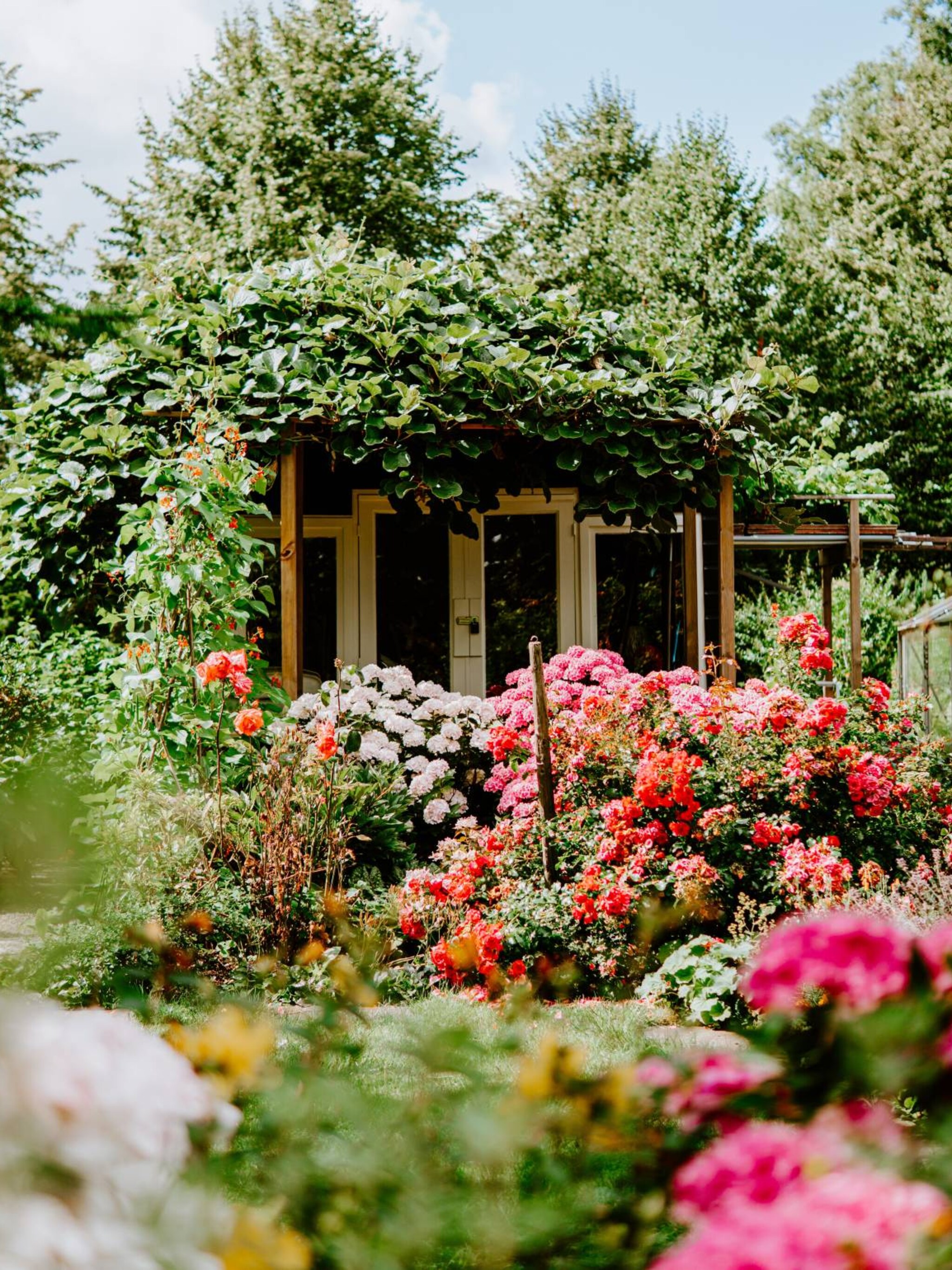 op kleur gesorteerd de fleurigste buitenplanten voor in de volle zon