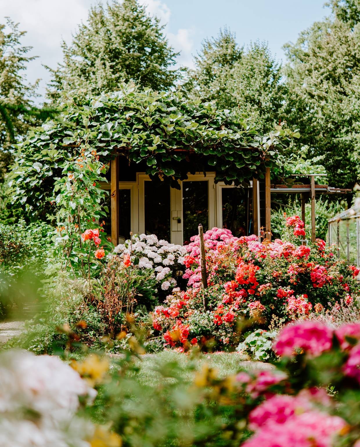 Engelse tuin met weelderige bloemen Unsplash