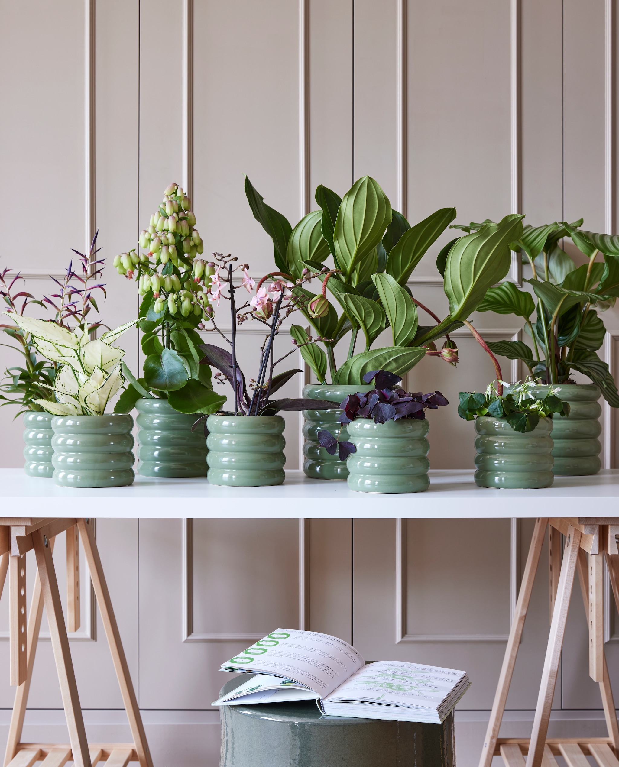 Vakantie? Zo krijgen de kamerplanten thuis toch voldoende water vtwonen pot &amp; plant collectie 03-2023 | styling Marianne Luning | fotografie Alexander van Berge