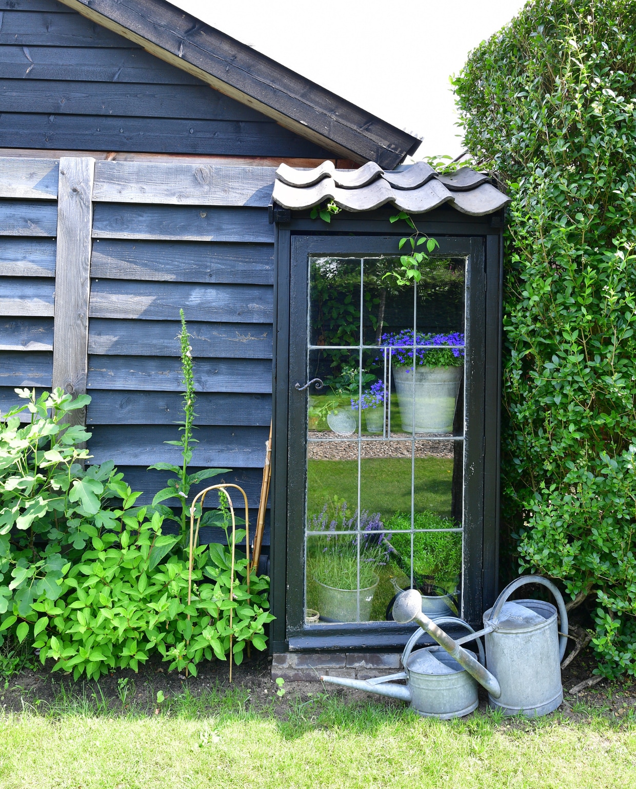 De oude gieters en teilen vond Jet op rommelmarkten. vtwonen tuinspecial tuin 7 2023 | fotografie sietske de vries