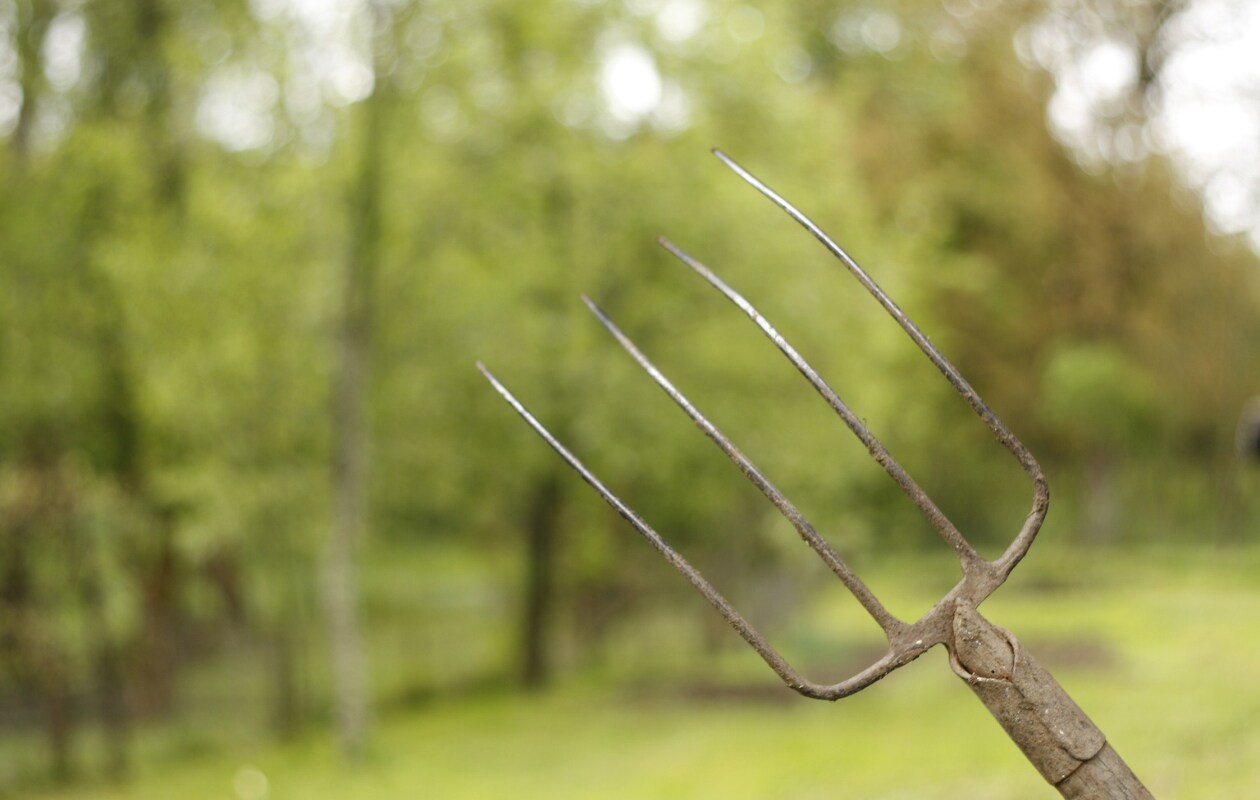 Dé  truc voor een gezonde grasmat: het gazon beluchten Ivan Ilijas, Pixabay