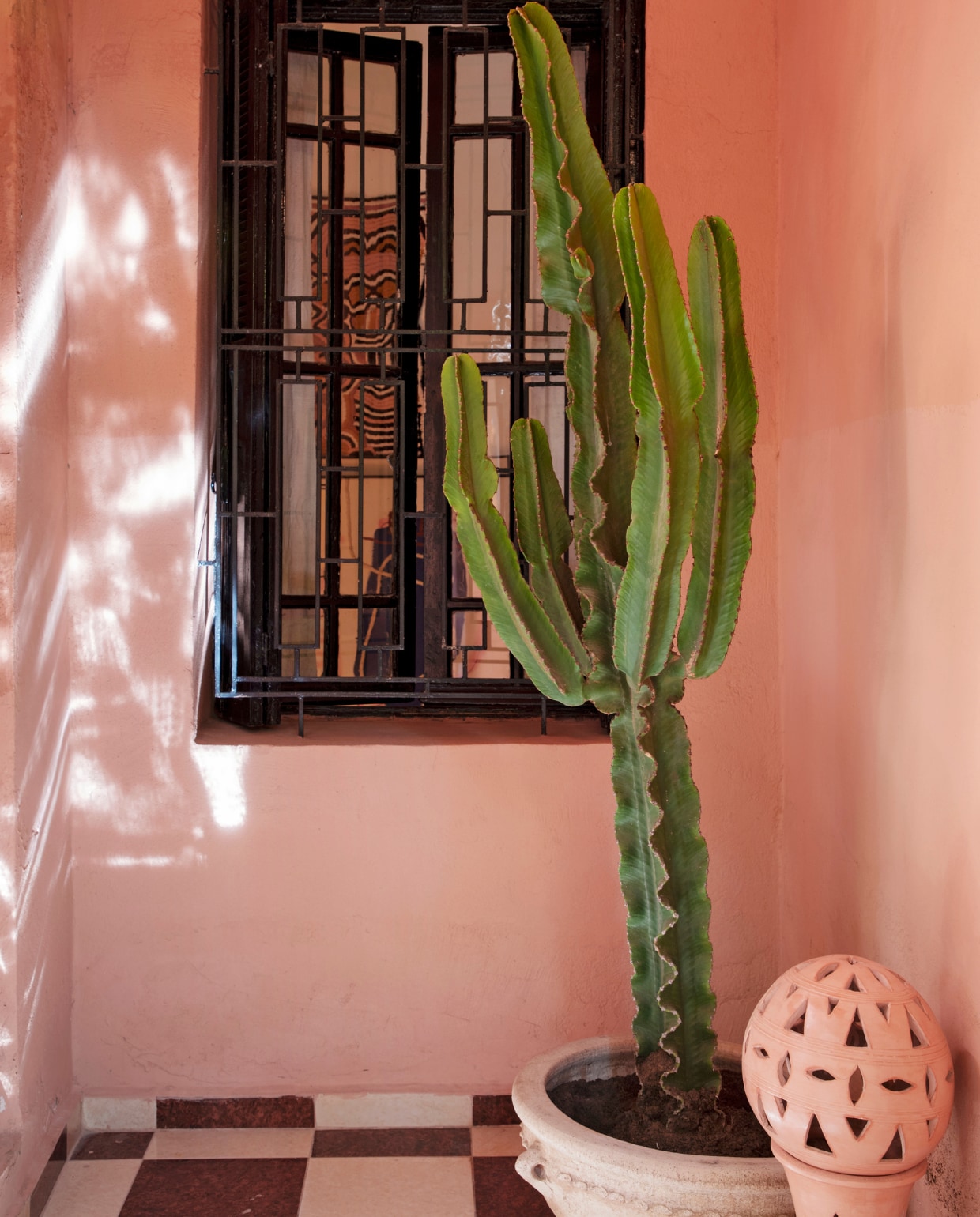 Cactus, pot en keramiek herkomst onbekend. vtwonen 09-2020 | fotografie Stine Christiansen