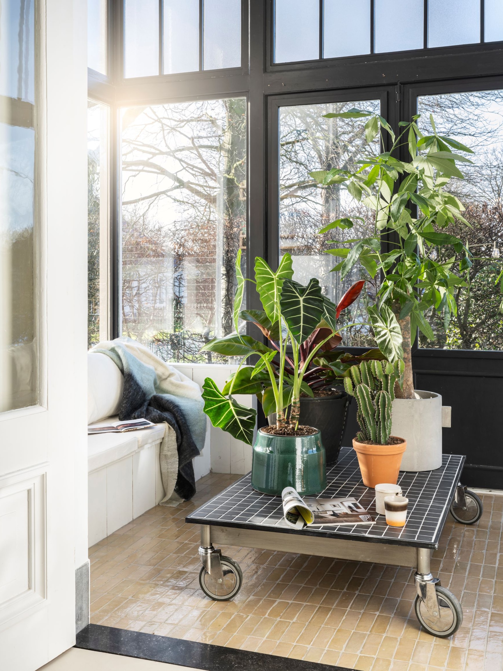 van tweedehands salontafel naar moderne plantentafel