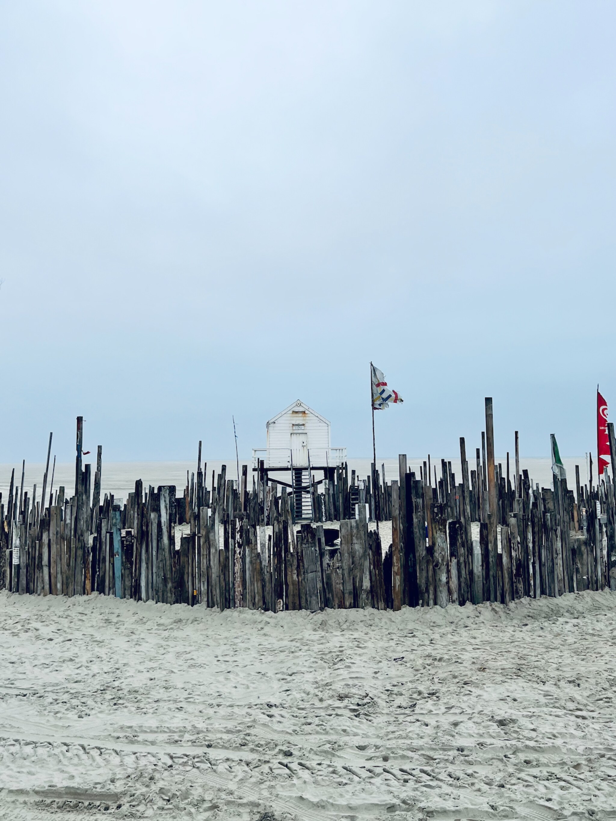 eilandgids de verrukkelijke hotspots van vlieland