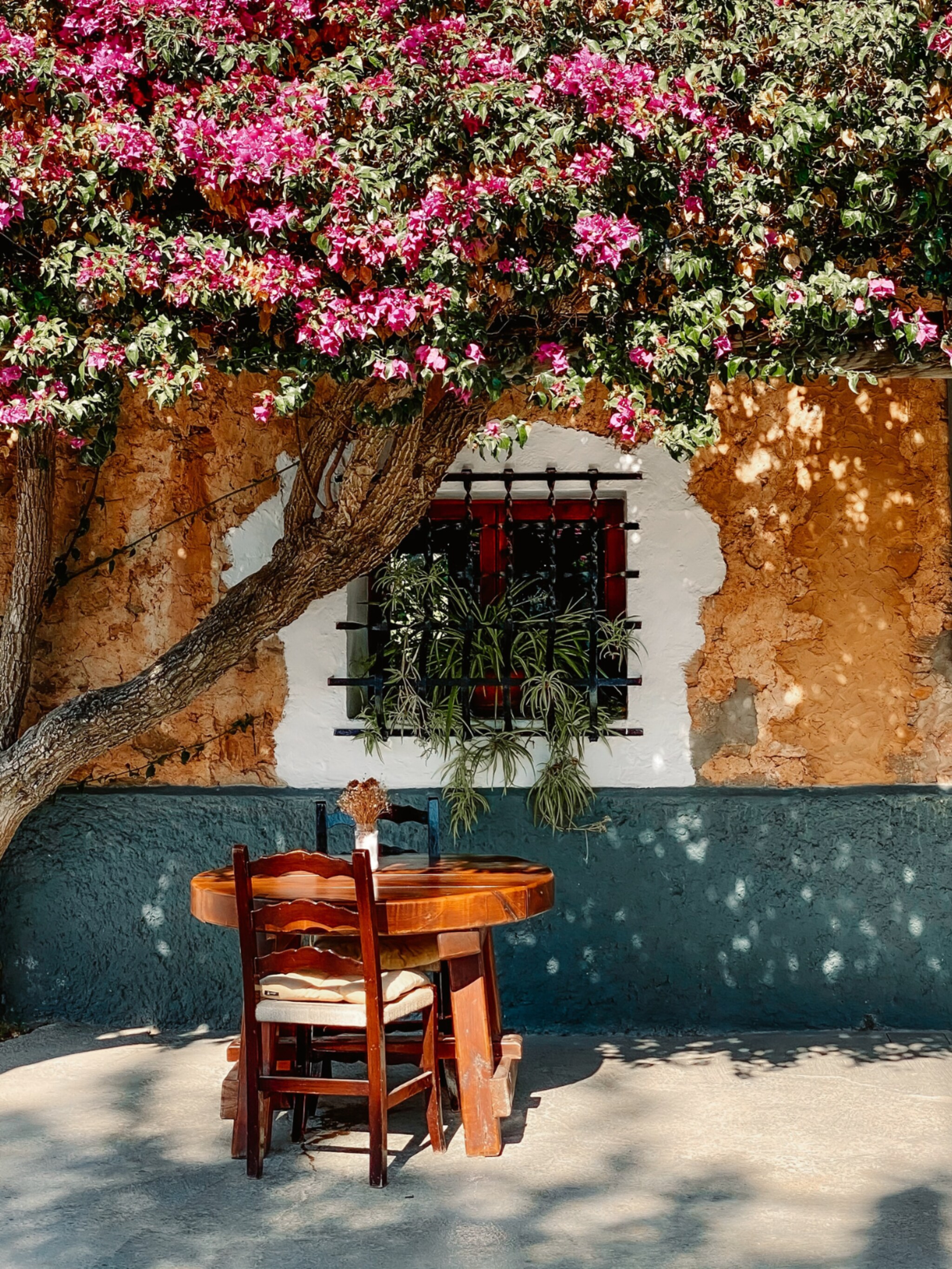eilandgids dit zijn de authentieke hotspots van ibiza