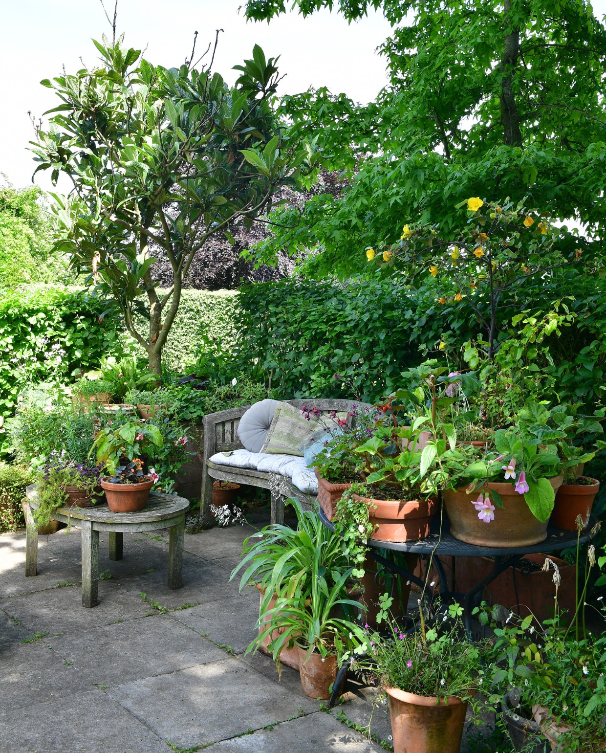 Een van de vele zitplekken in de tuin, verstopt tussen planten als Renga Renga, Rehmania (Chinees vingerhoedskruid) en allerlei soorten Begonia. De bank is van Nitha’s moeder geweest. vtwonen tuinspecial 8 | fotografie Sietske de Vries