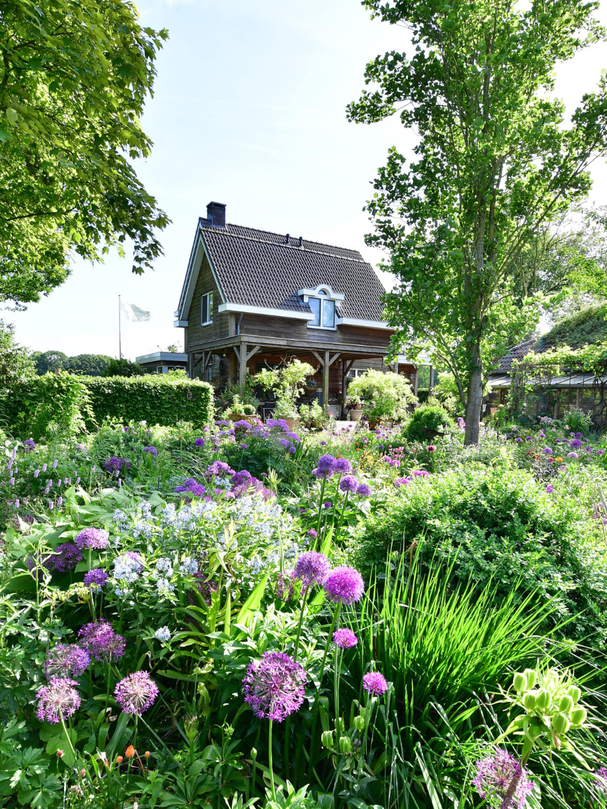 buitenkijken bij een houten nieuwbouwhuis in lochem
