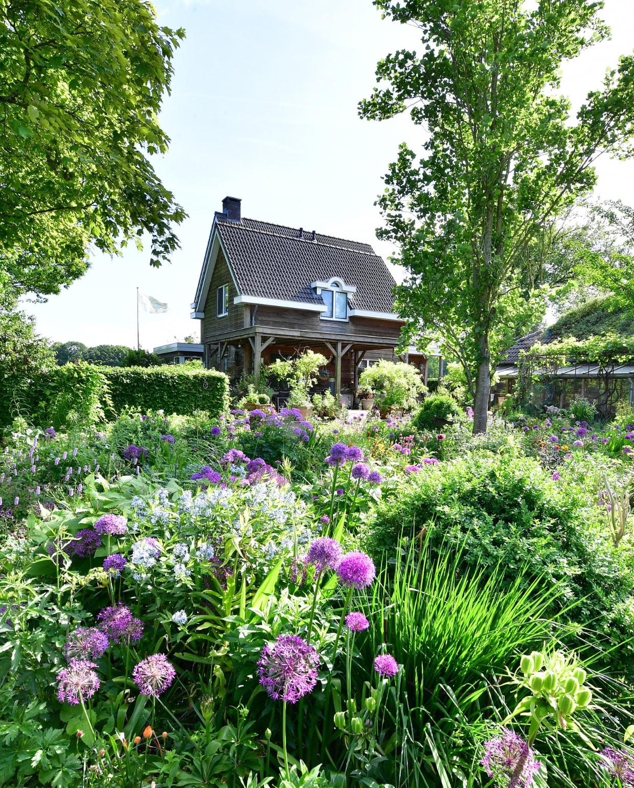 De voorjaarsborders in de binnentuin zijn gevuld met allerlei soorten Allium, lichtblauwe Amsonia (stermaagdenpalm), roze Persicaria bistorta (adderwortel) en siergras Molinia windspiel. vtwonen tuinspecial 8 | fotografie Sietske de Vries