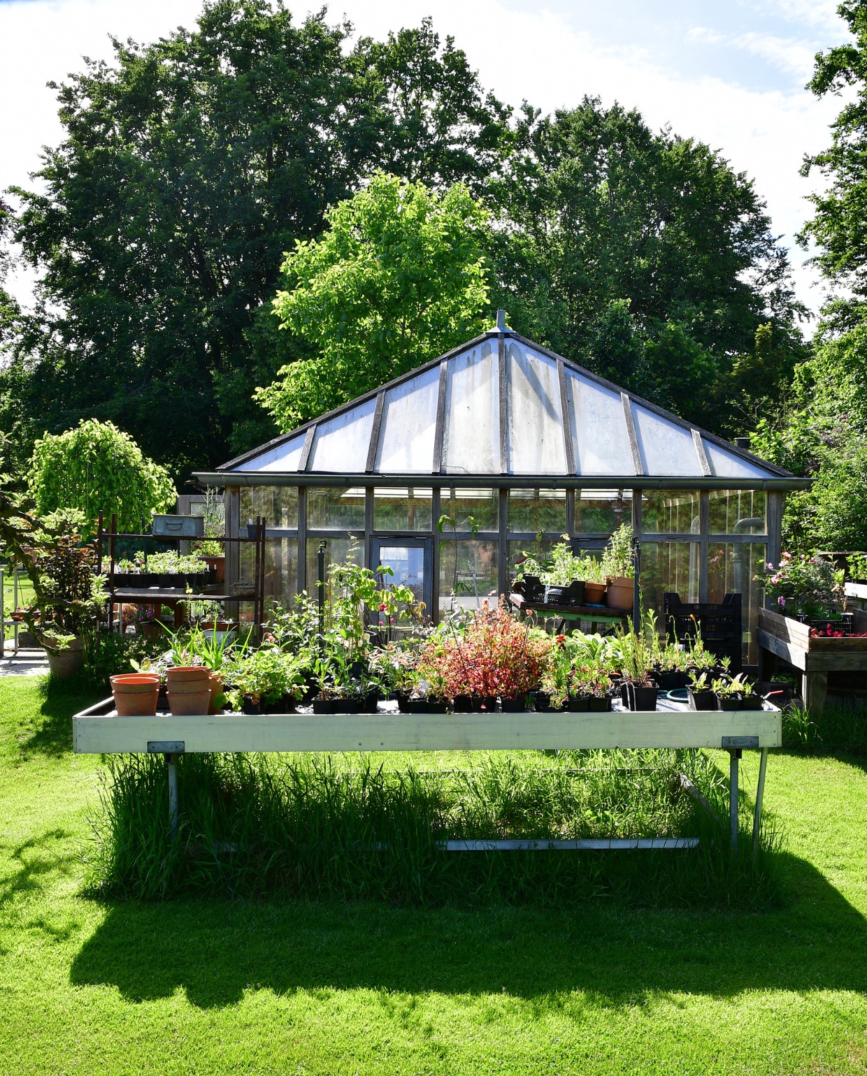 Op de kweektafel staan planten die Nitha zaait en stekt voor de verkoop. vtwonen tuinspecial 8 | fotografie Sietske de Vries