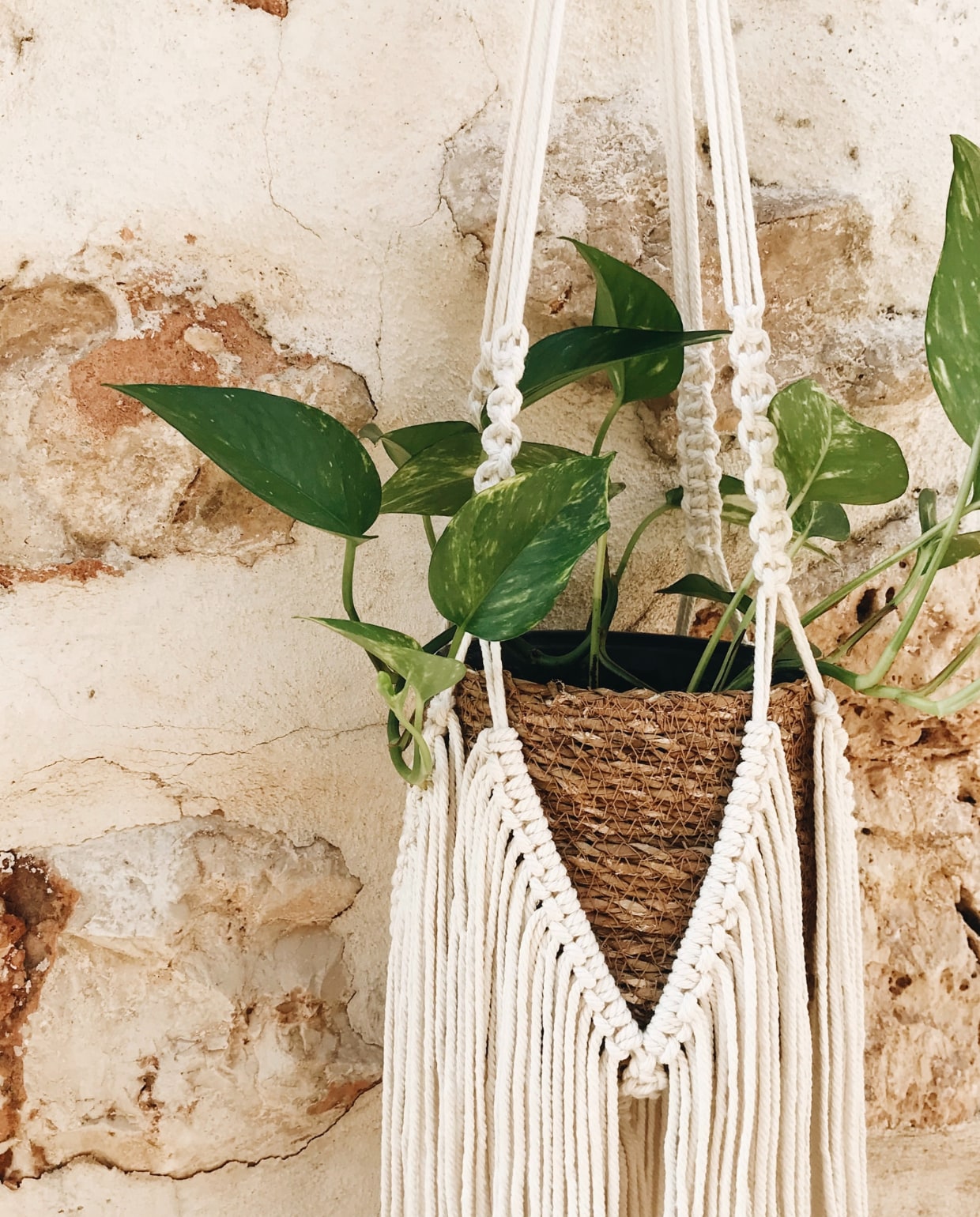 Macramé plantenhanger en pot onbekend. rocknwool via Unsplash