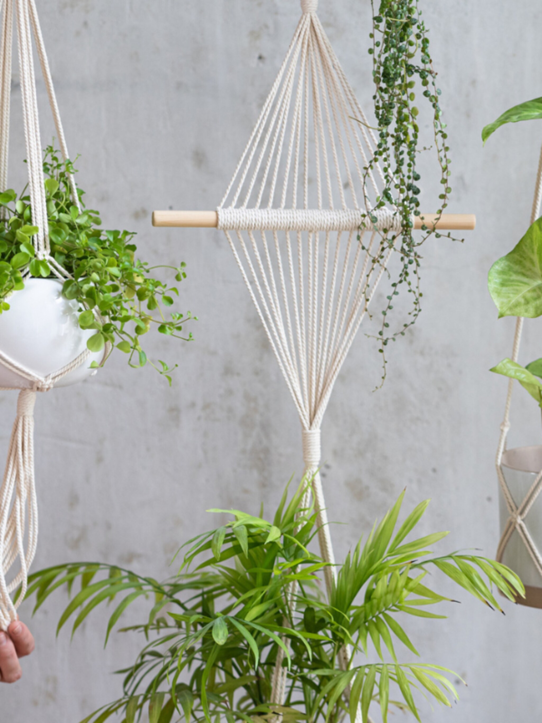 terug van weggeweest de macrame plantenhanger