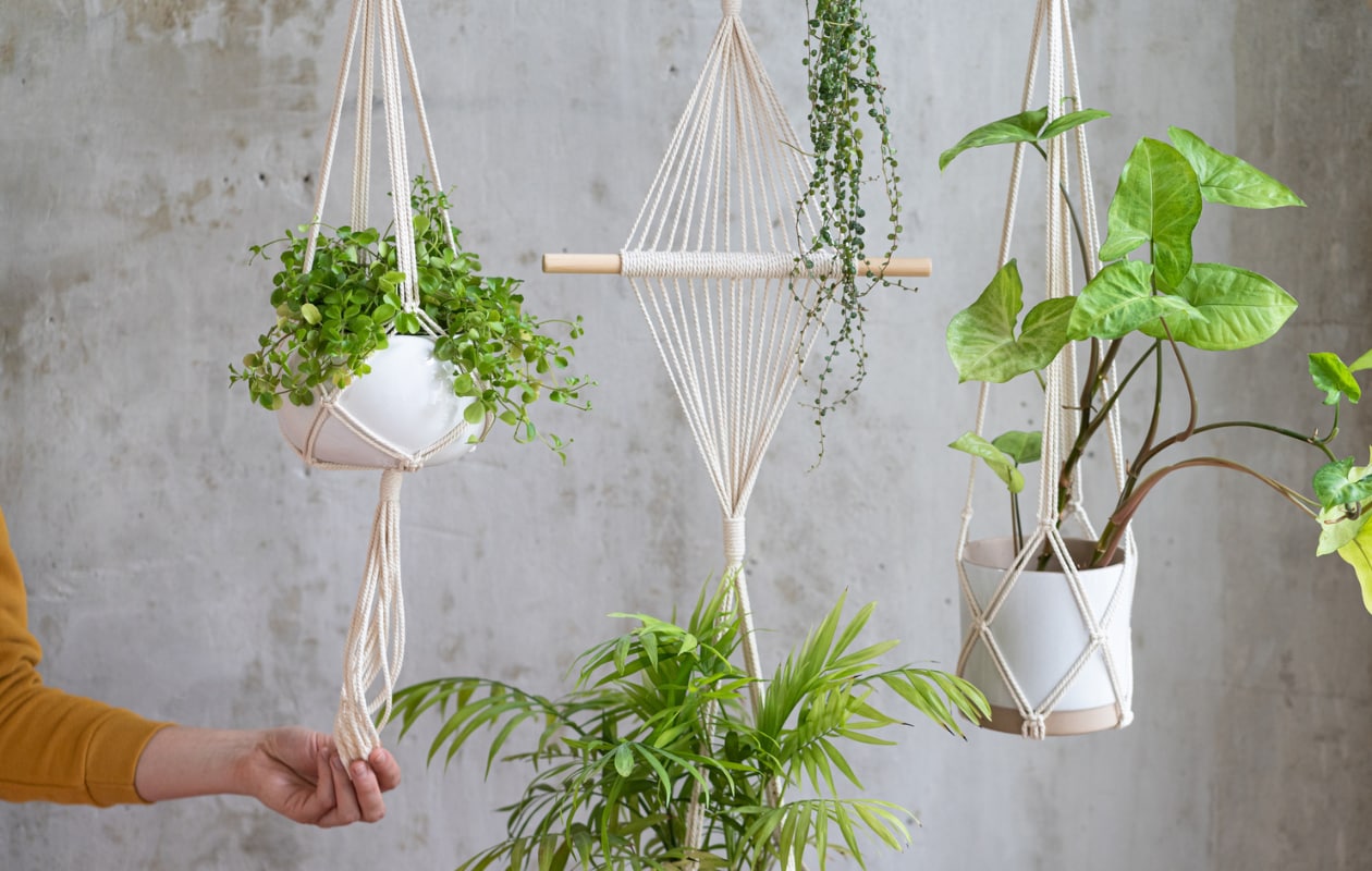 Set macramé hangplanten Getty Images