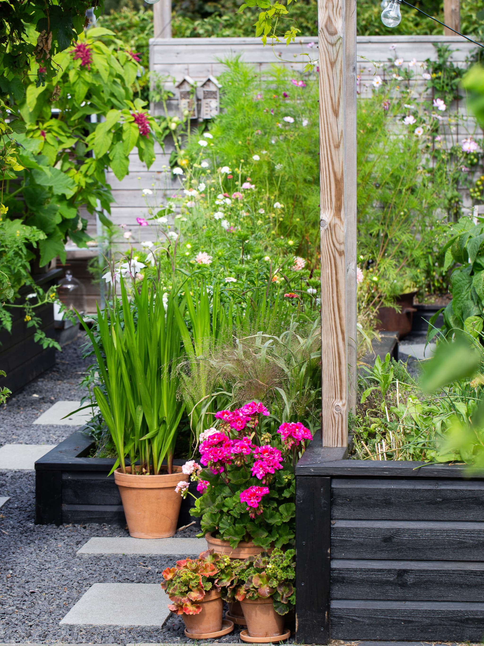 zo zorg je voor een diervriendelijke tuin