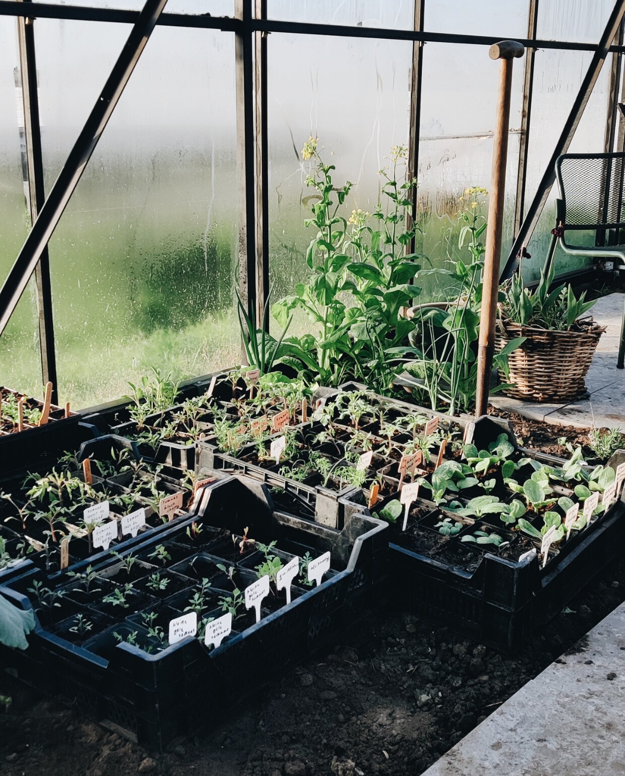 Moestuin in de kas van Vivian en Mark fotografie Vivian Hoebe en Mark Mulder