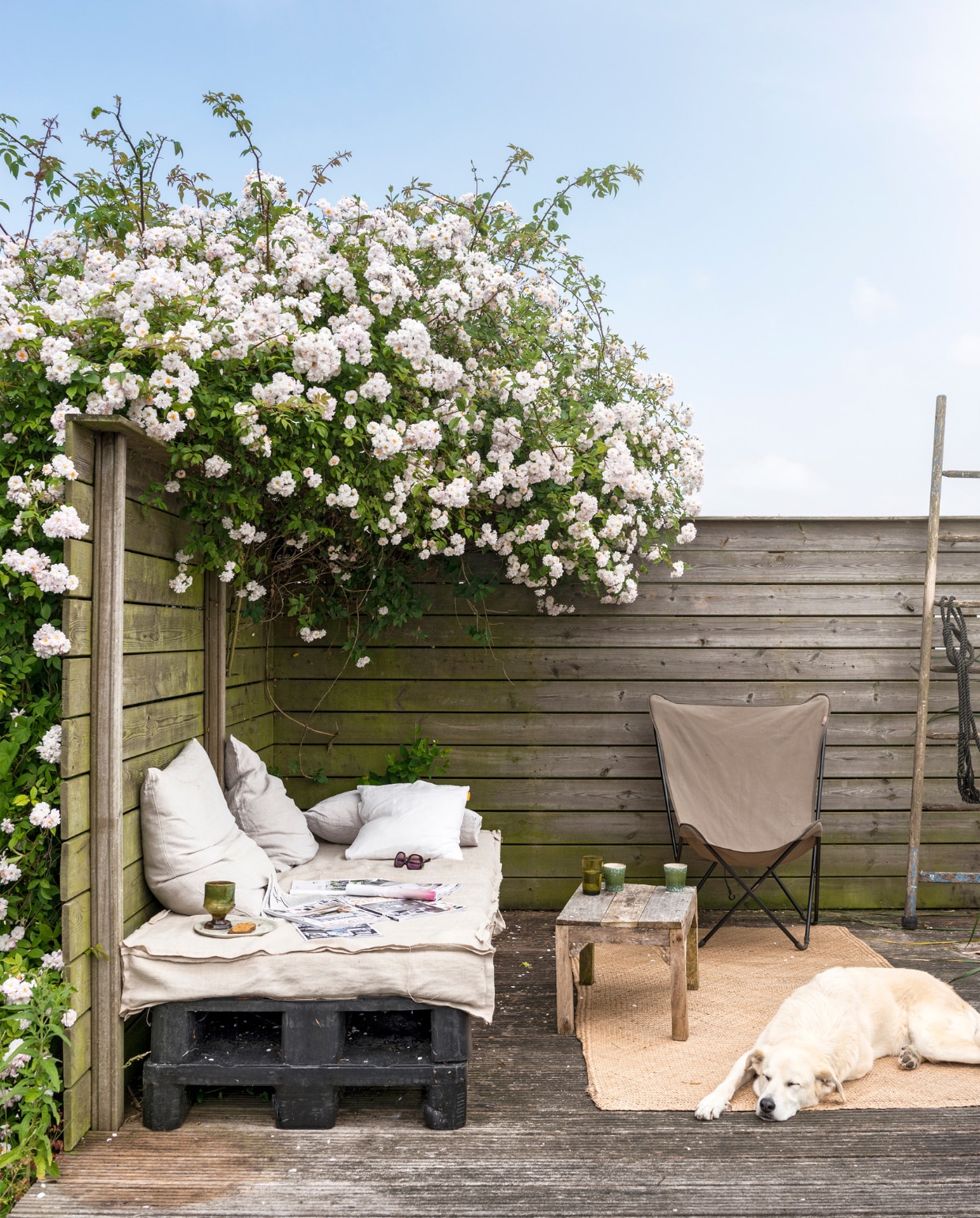 Tuin Marianne vtwonen 06-2023 | fotografie Stan Koolen