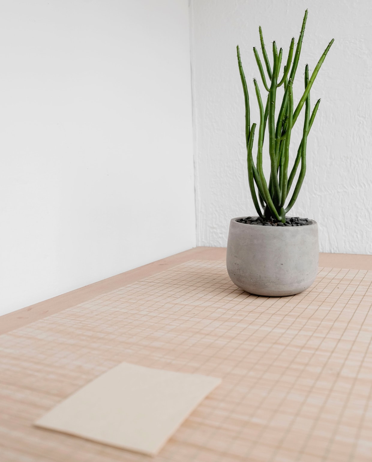 Bamboe vloer Unsplash | Henry &amp; Co.
