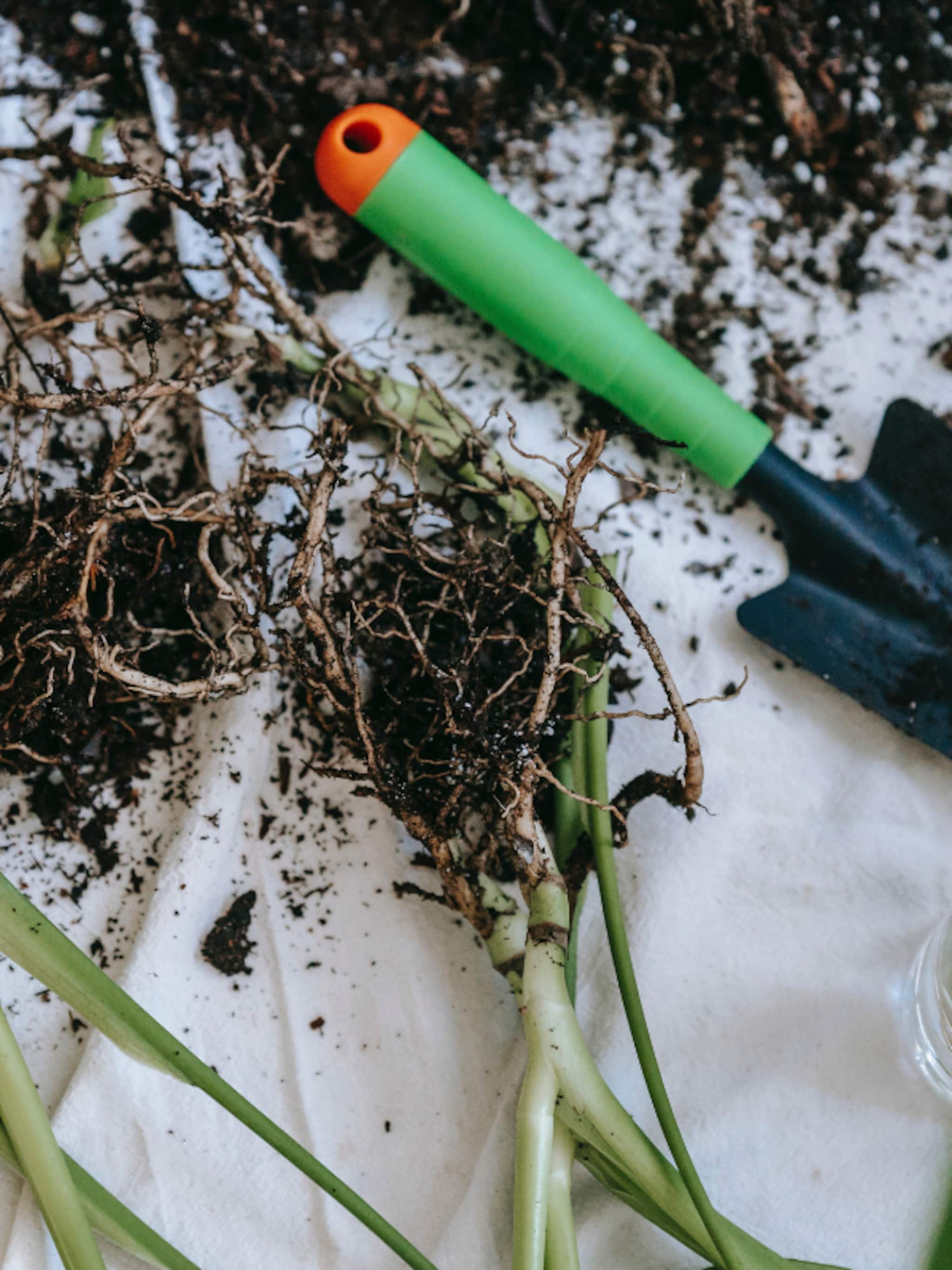 anti worteldoek in de tuin heeft het zin