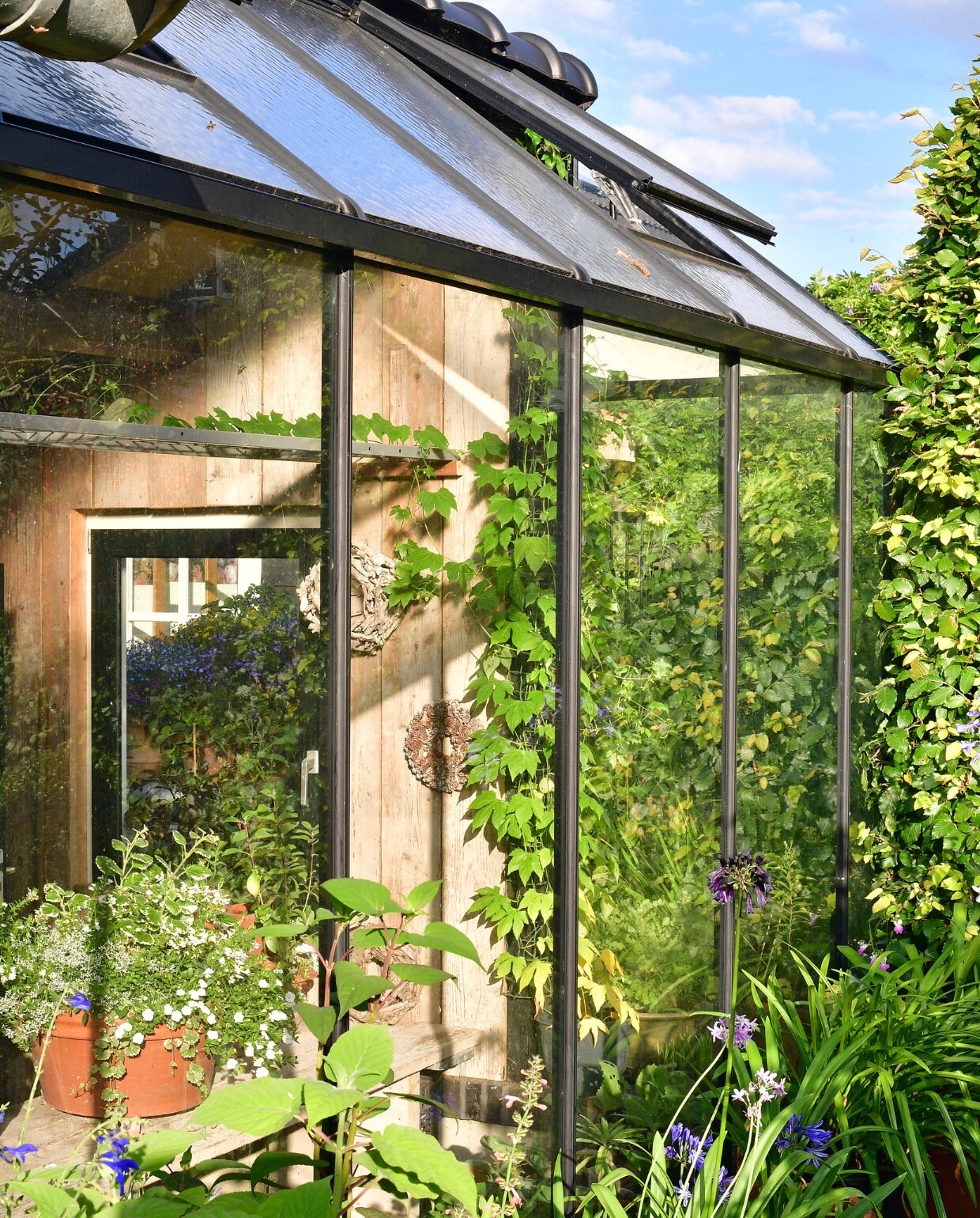 De kas is voorzien van een glazen pui en glazen dak voor zoveel mogelijk lichtopbrengst. vtwonen special tuin 04 | fotografie Sietske de Vries | styling Ina ter Haar