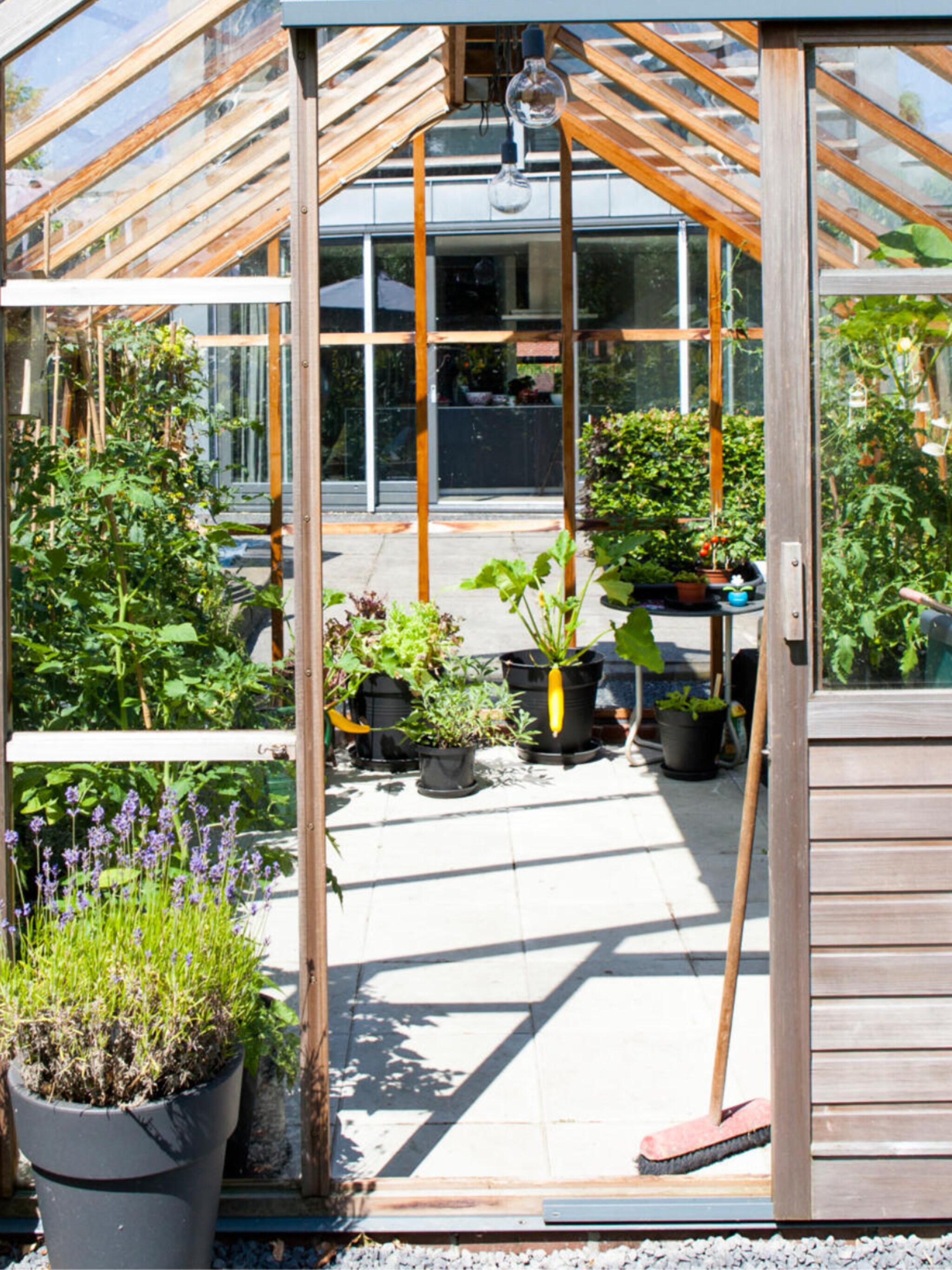 moestuin bemesten met deze voedzame tips smul je van groenten uit eigen tuin
