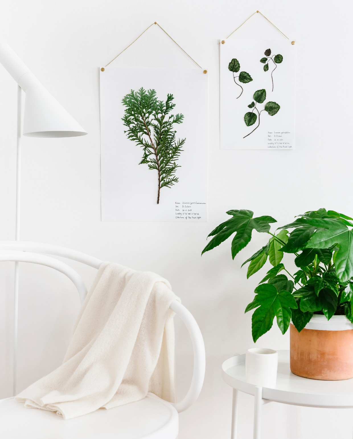 Lamp AJ € 985,- (louispoulsen.nl). Bijzettafel Gladom € 12,99 (ikea.nl). Theekop (valpottery.be). Overig privébezit. vtwonen 12-2021 | styling en fotografie Dorothee Dubois
