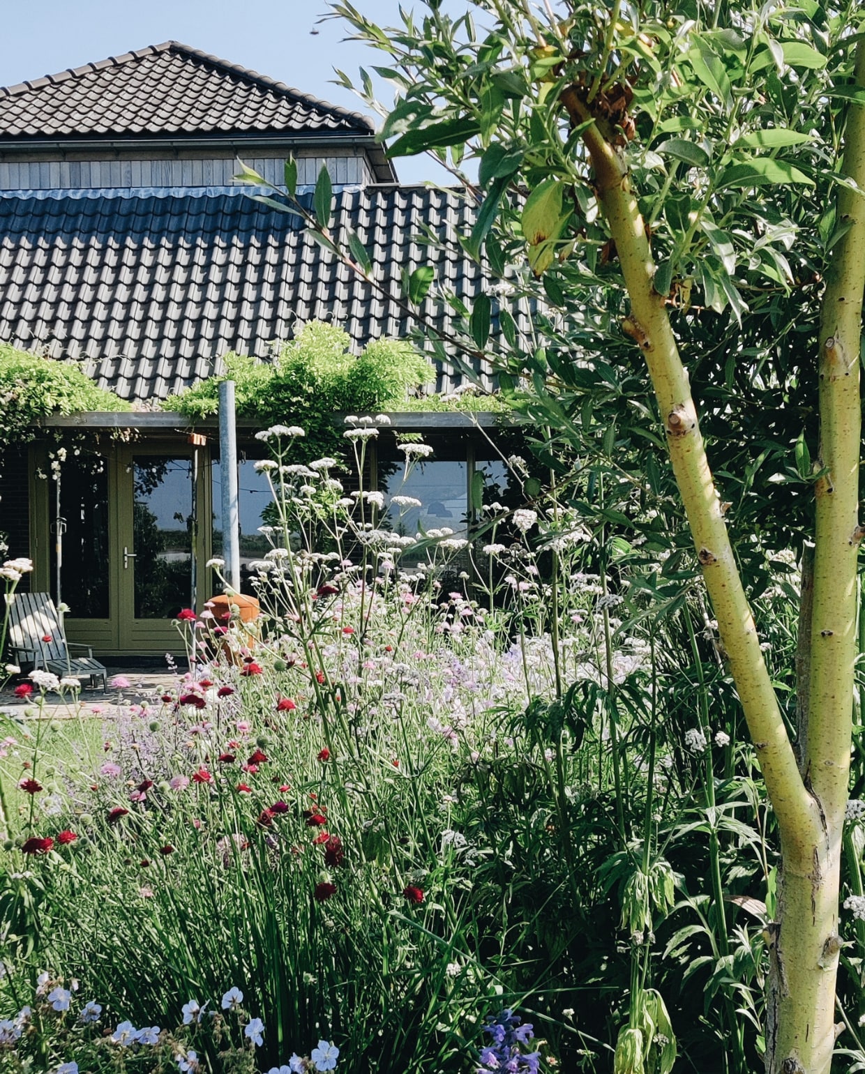 Border in de tuin van Vivian en Mark. Vivian Hoebe en Mark Mulder