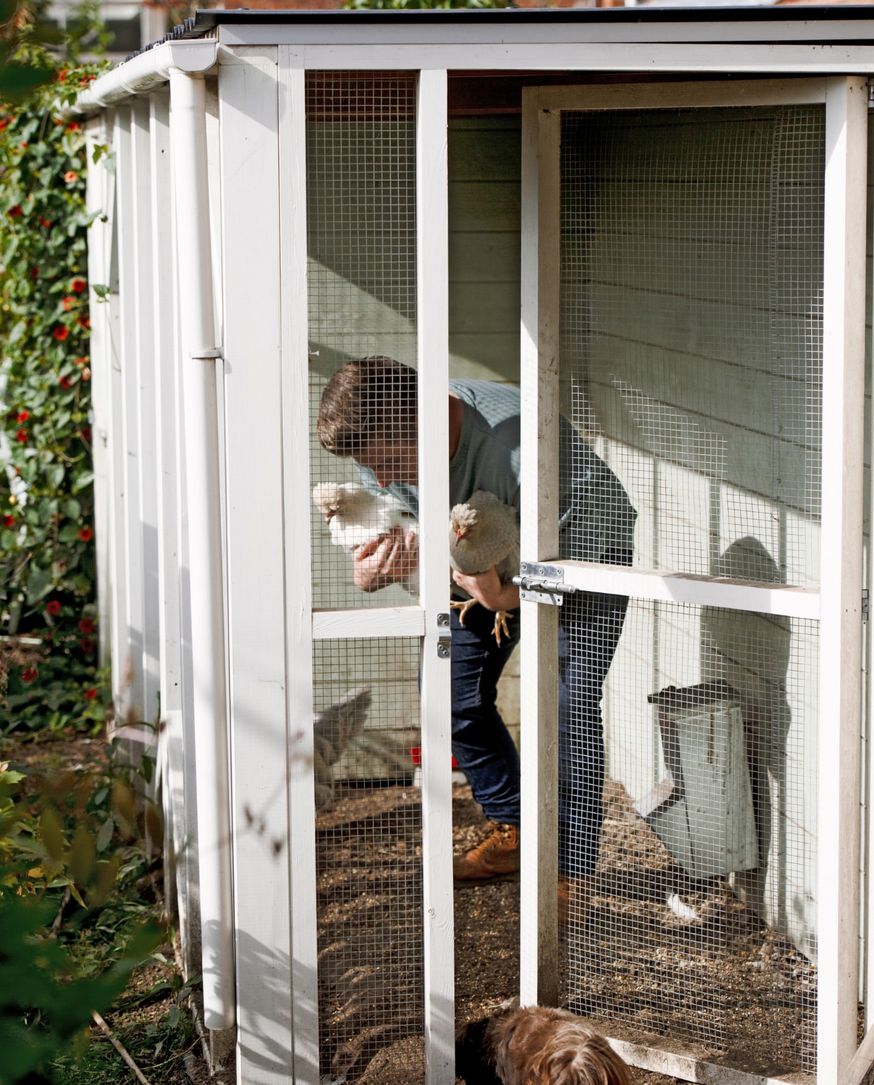 Zelgebouwde kippenren vtwonen 2022-special TUIN 5 | binnenkijker 4 | styling Ilona Jongepier | fotografie Brenda van Leeuwen