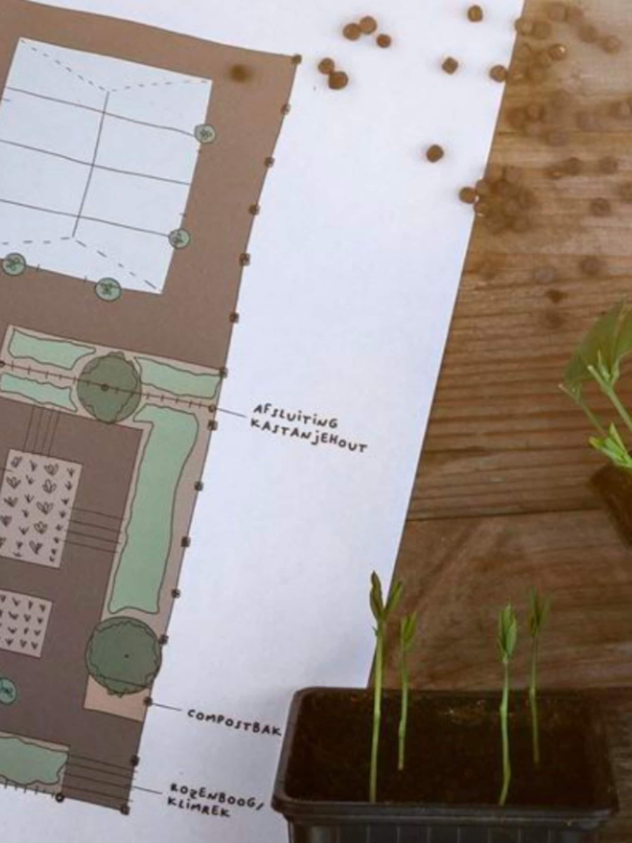 zo maak je een ontwerp voor de tuin als een echte pro