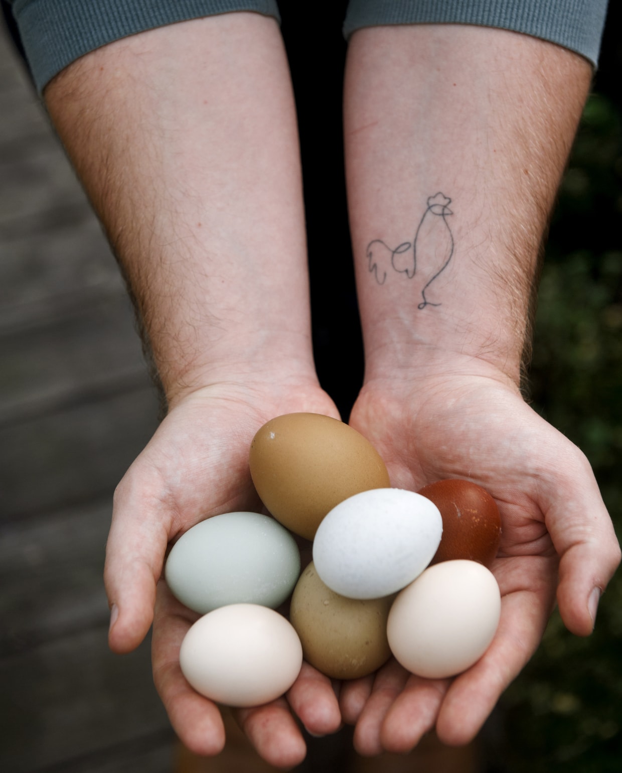 Gekleurde kippeneieren zijn een leuk presentje. Ze lijken geverfd, maar zijn echt. vtwonen 2022-special TUIN 5 | binnenkijker 4 | styling Ilona Jongepier | fotografie Brenda van Leeuwen