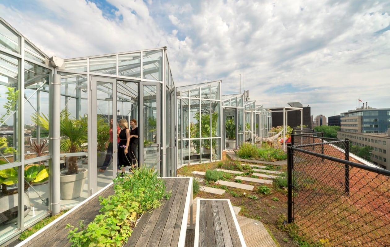 Zoku Amsterdam rooftopbar livezoku.com