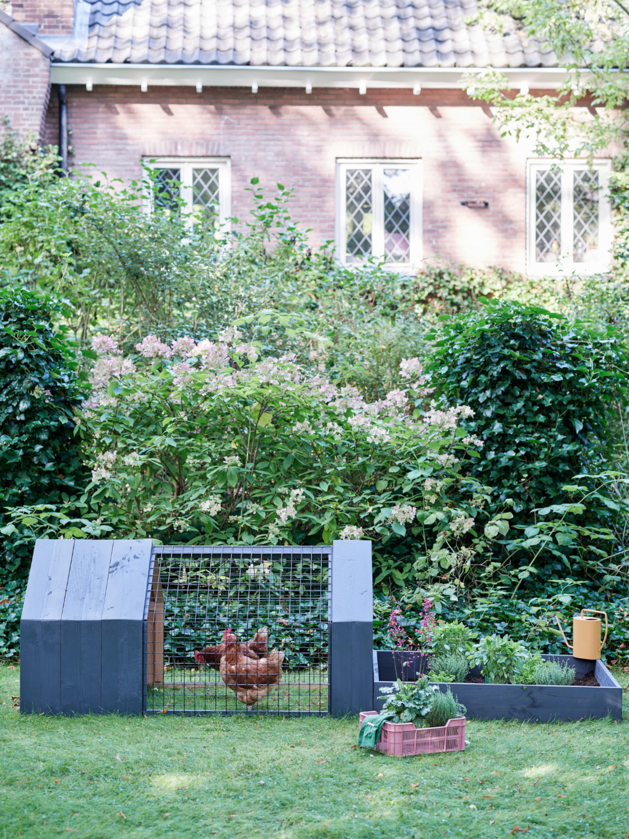 diy knap kippenhok