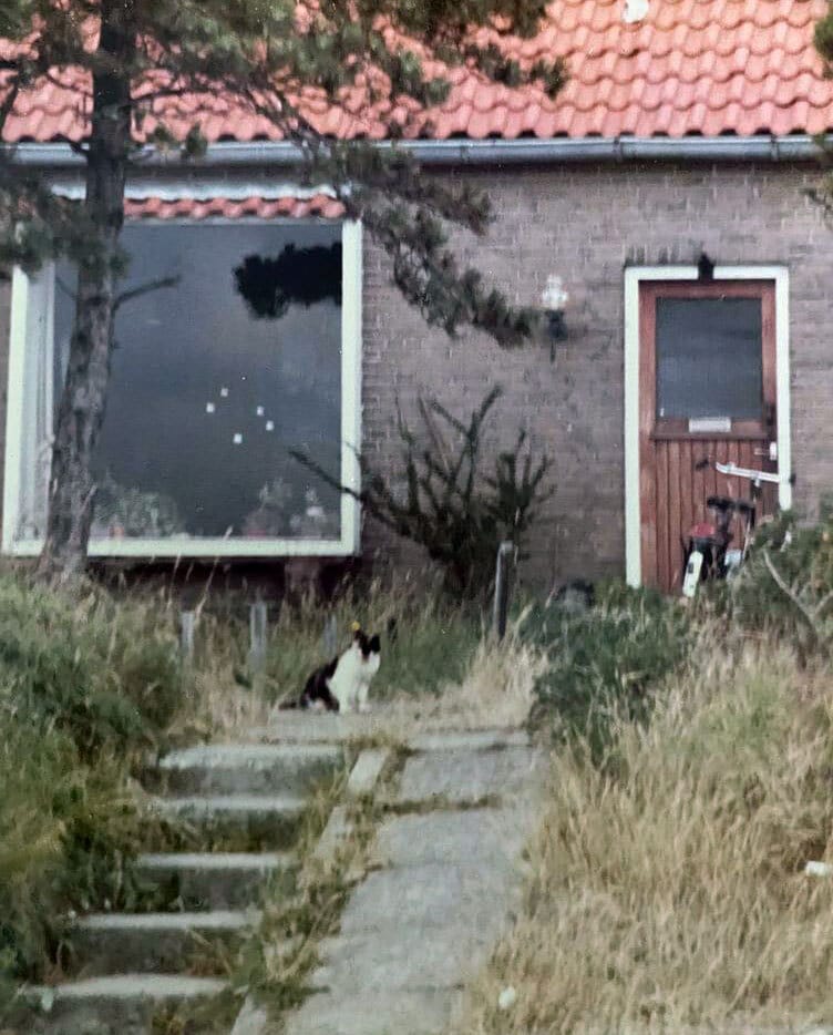 Het oorspronkelijke vakantiehuis van Reineke en haar familie op Vlieland Reineke Bakker