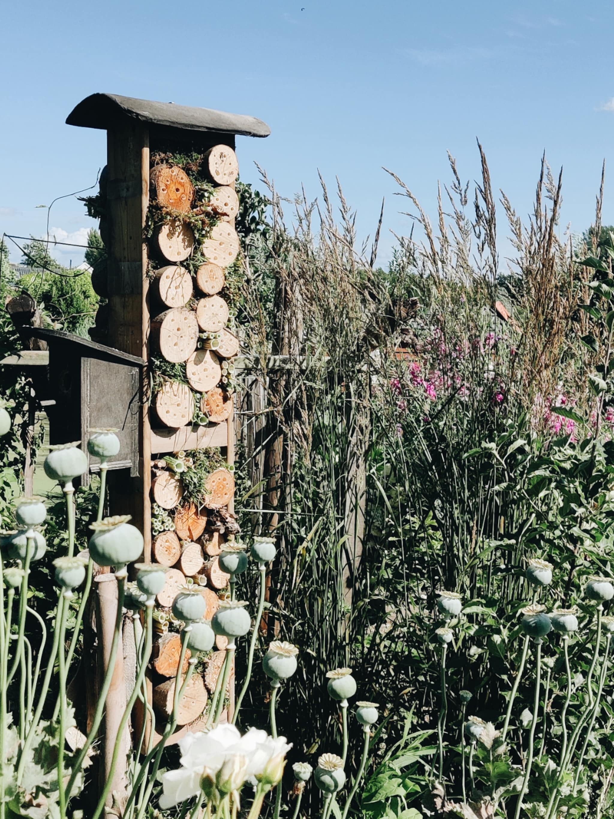 bzzz zo krijg je meer bijen in de tuin volgens onze tuinexperts