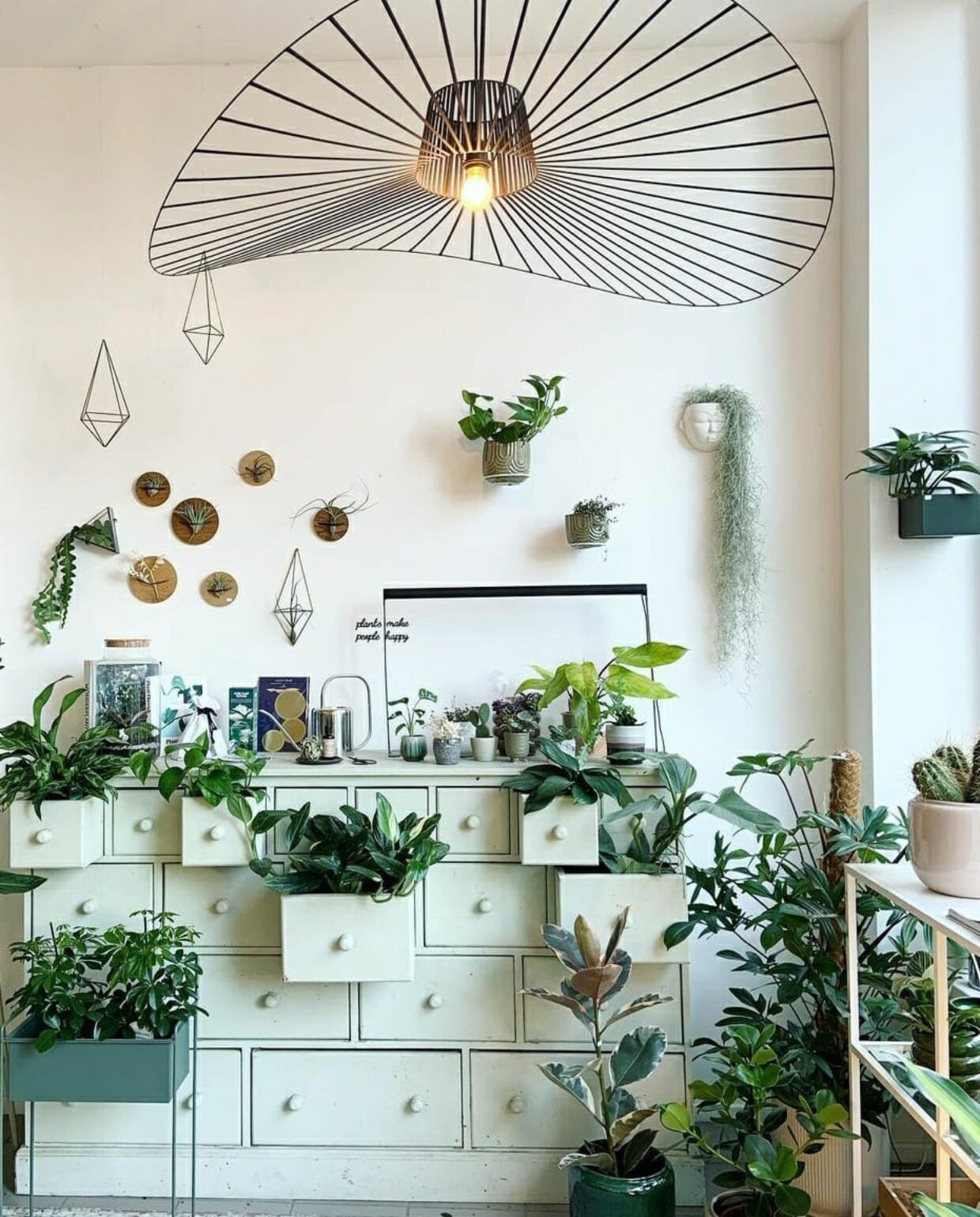 vtwonen Instagram: @theplantcorner