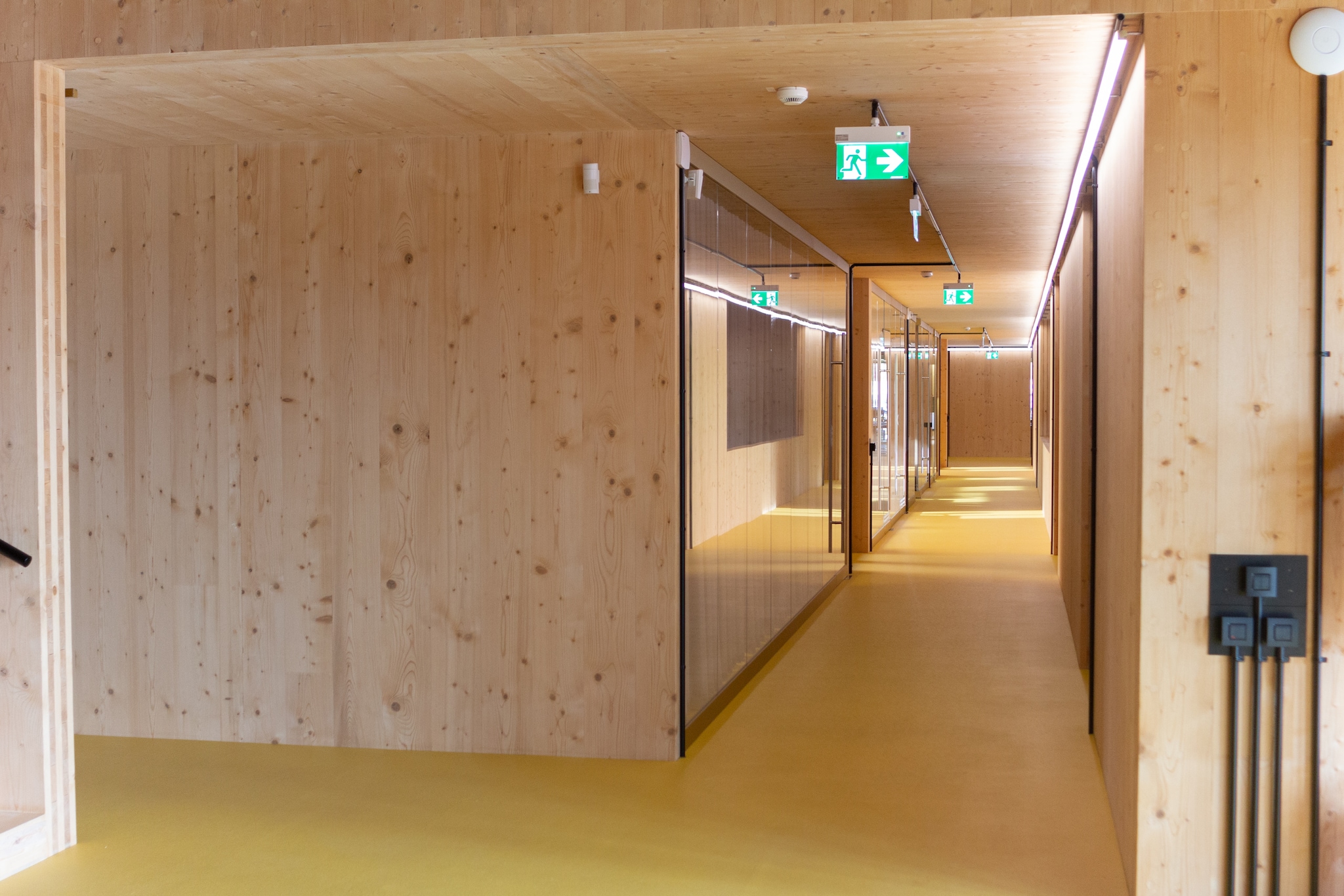 CLT-hout als basis van de constructie Unsplash