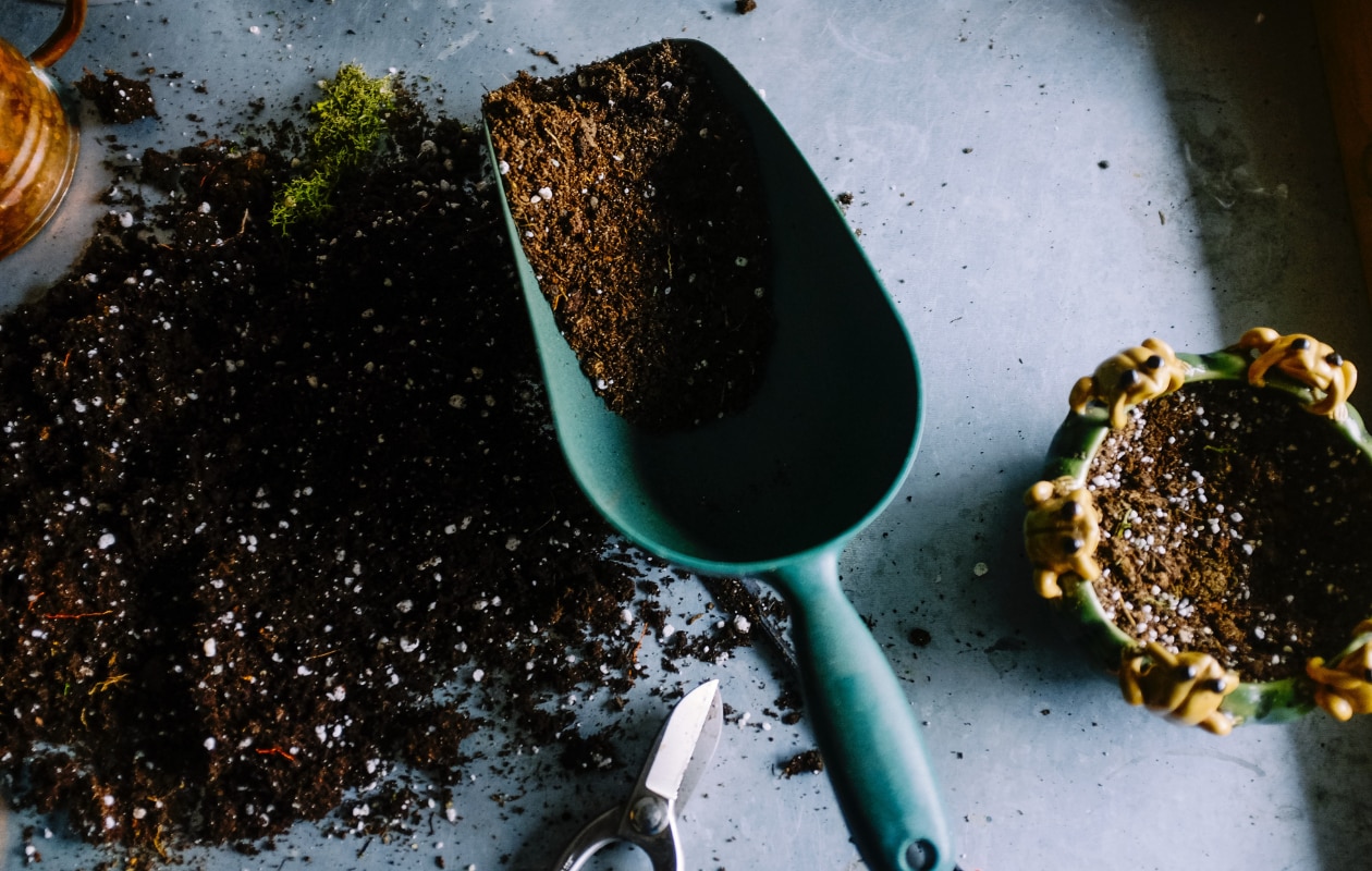 Compost/mest voor planten. Unsplash
