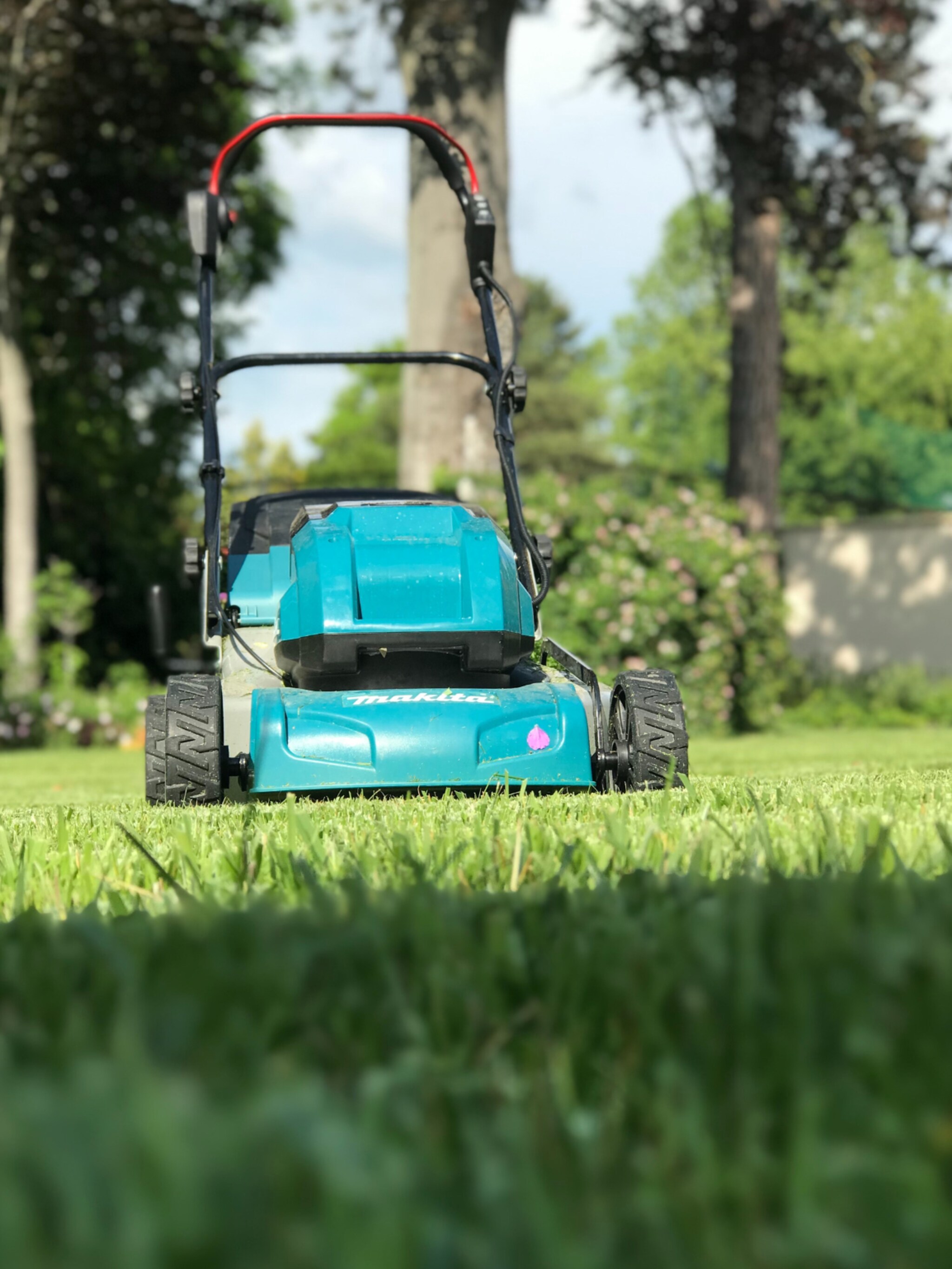 tips om gras makkelijk te onderhouden