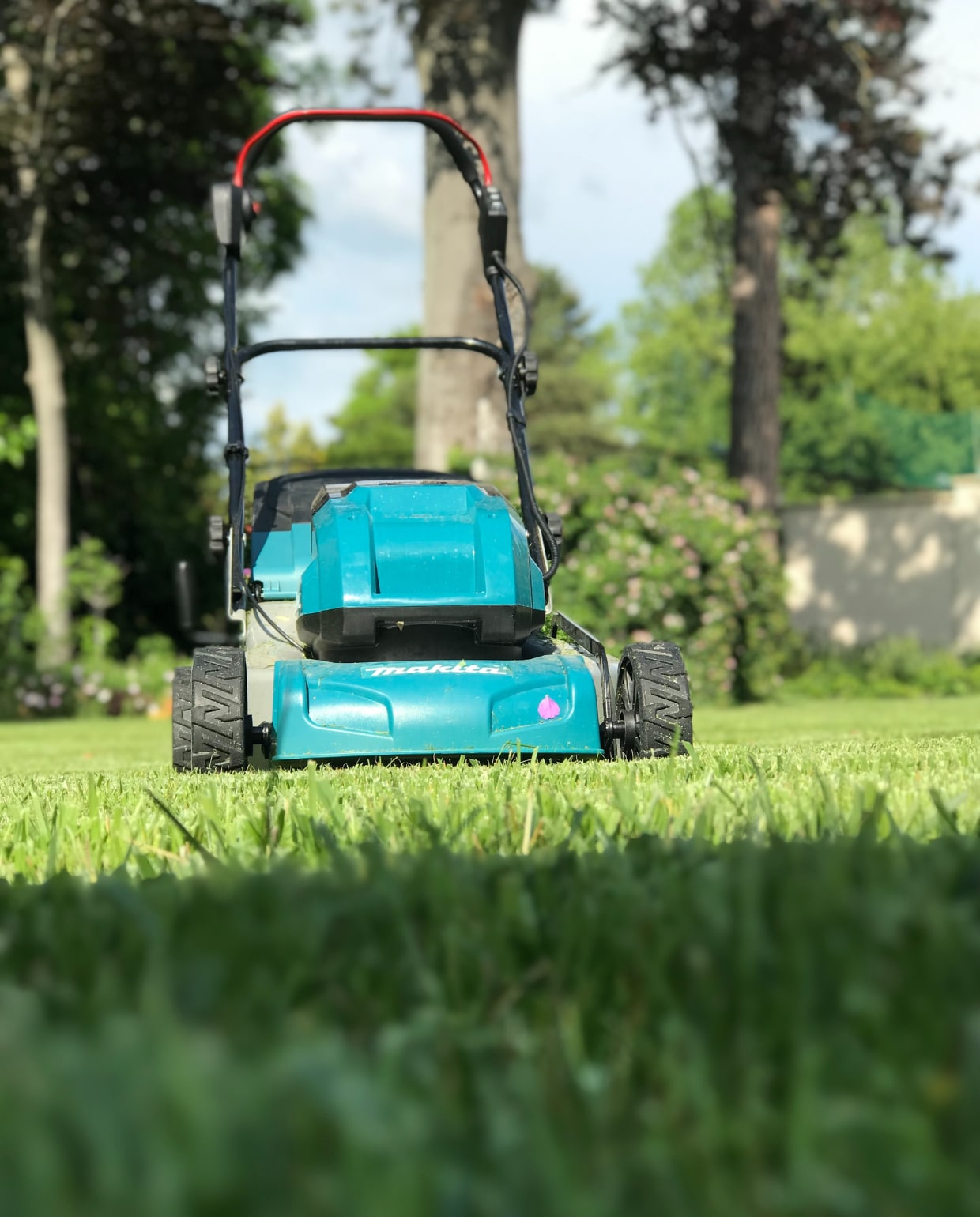 Tips, een handig middel én een uitlegvideo: zo onderhoud je makkelijk het gras Unsplash