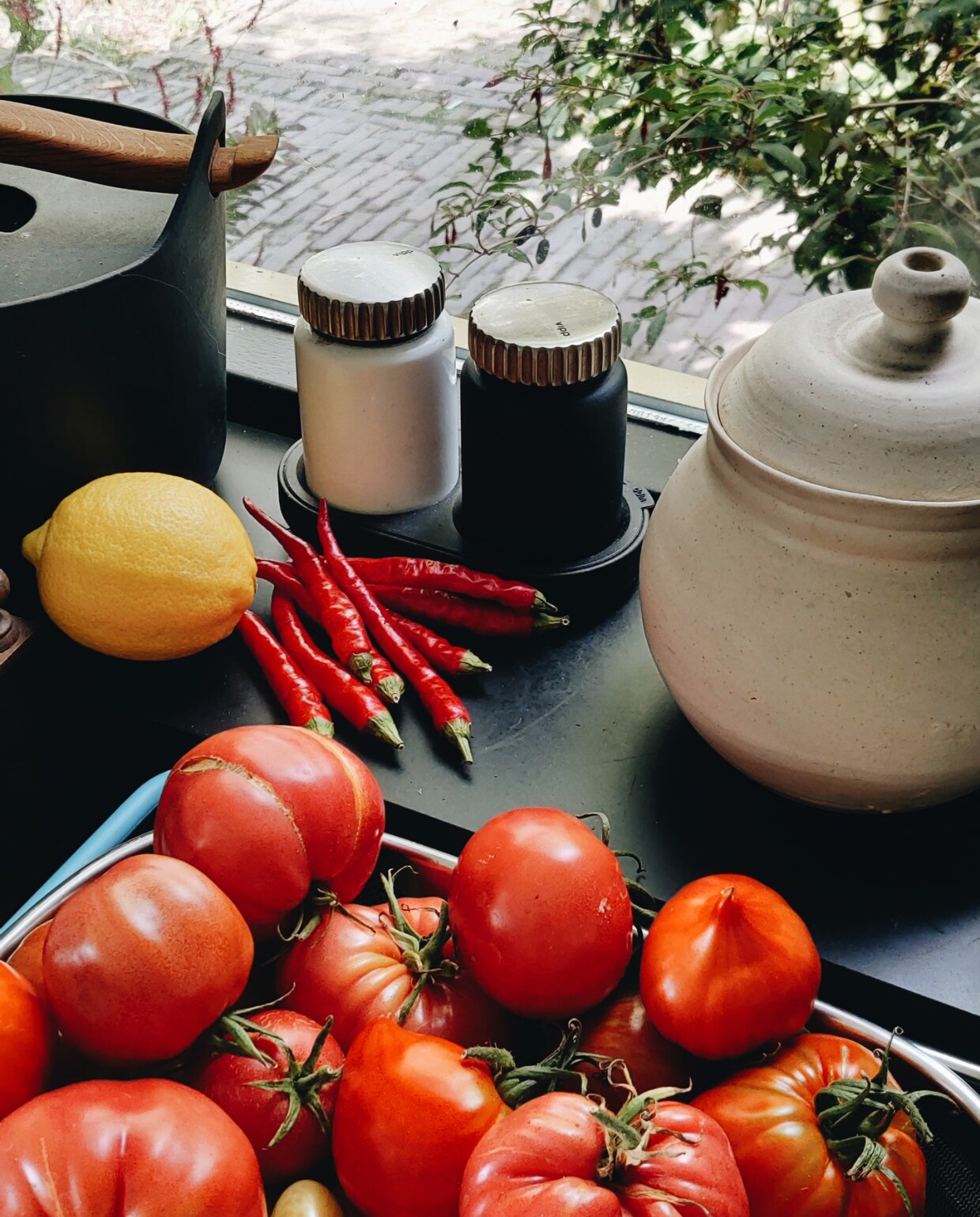 Oogst tomaten Beeld Vivian Hoebe en Mark Mulder